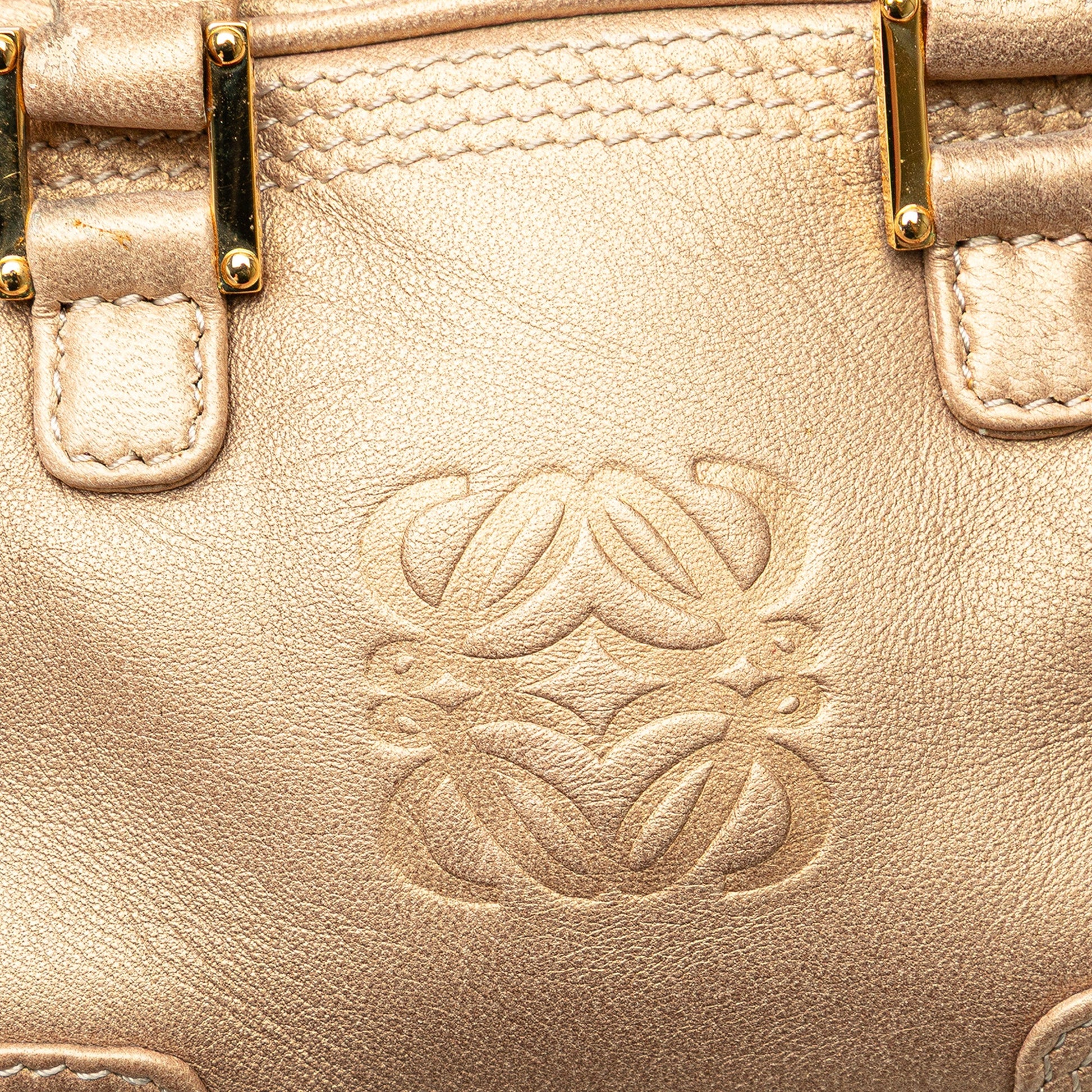 LOEWE Micro Metallic Leather Amazona Satchel