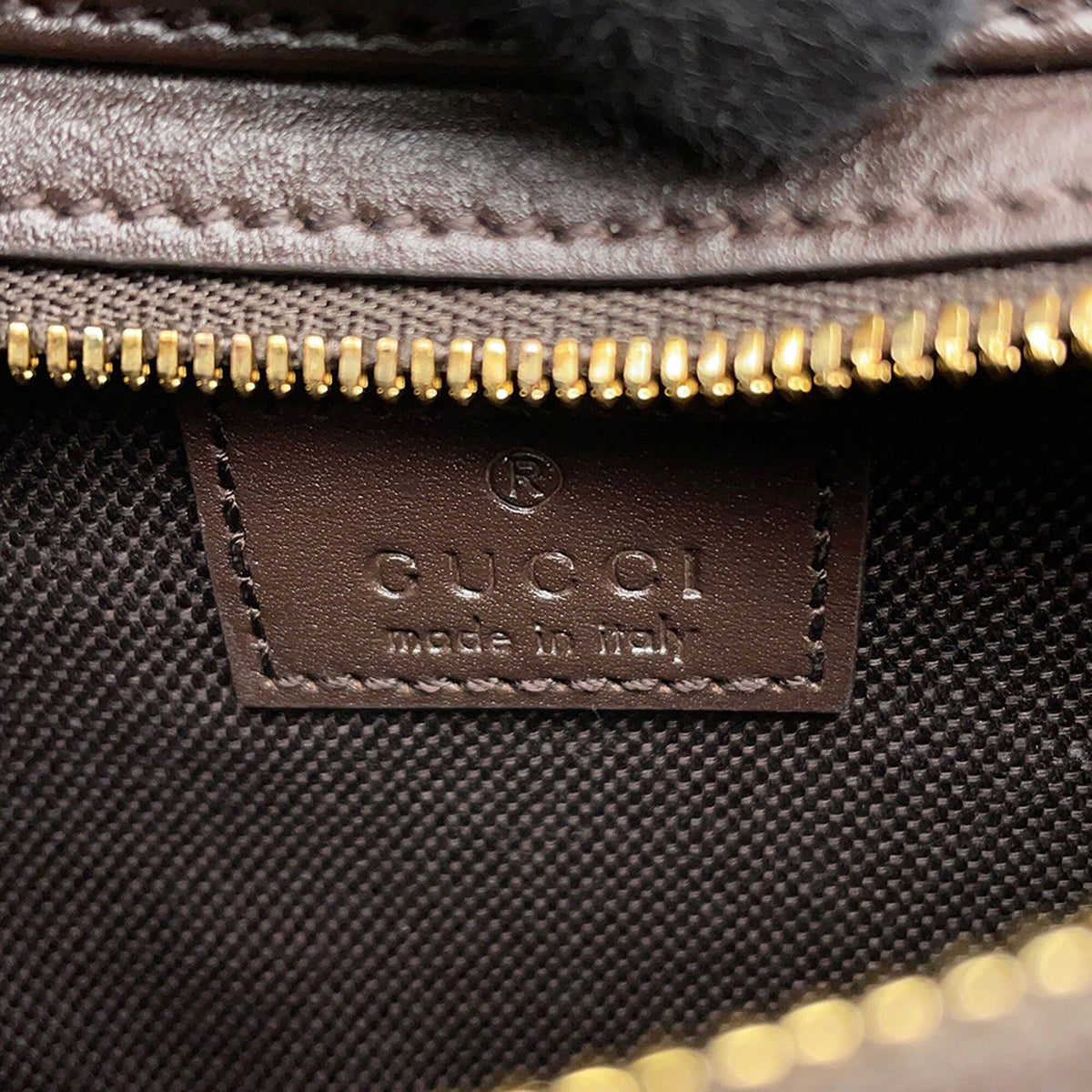 Gucci Mini GG Canvas Web Moon Side Shoulder Bag
