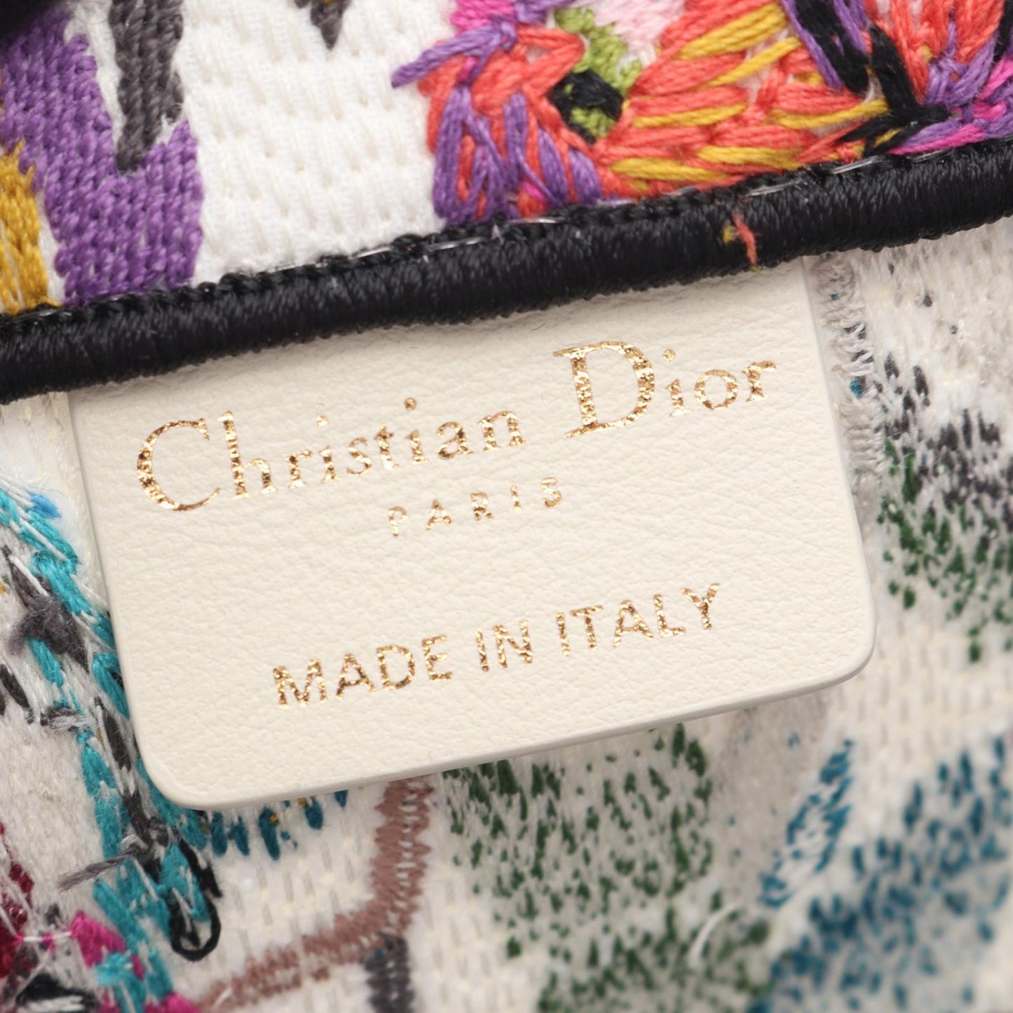 Dior Medium Embroidered Canvas Book Tote