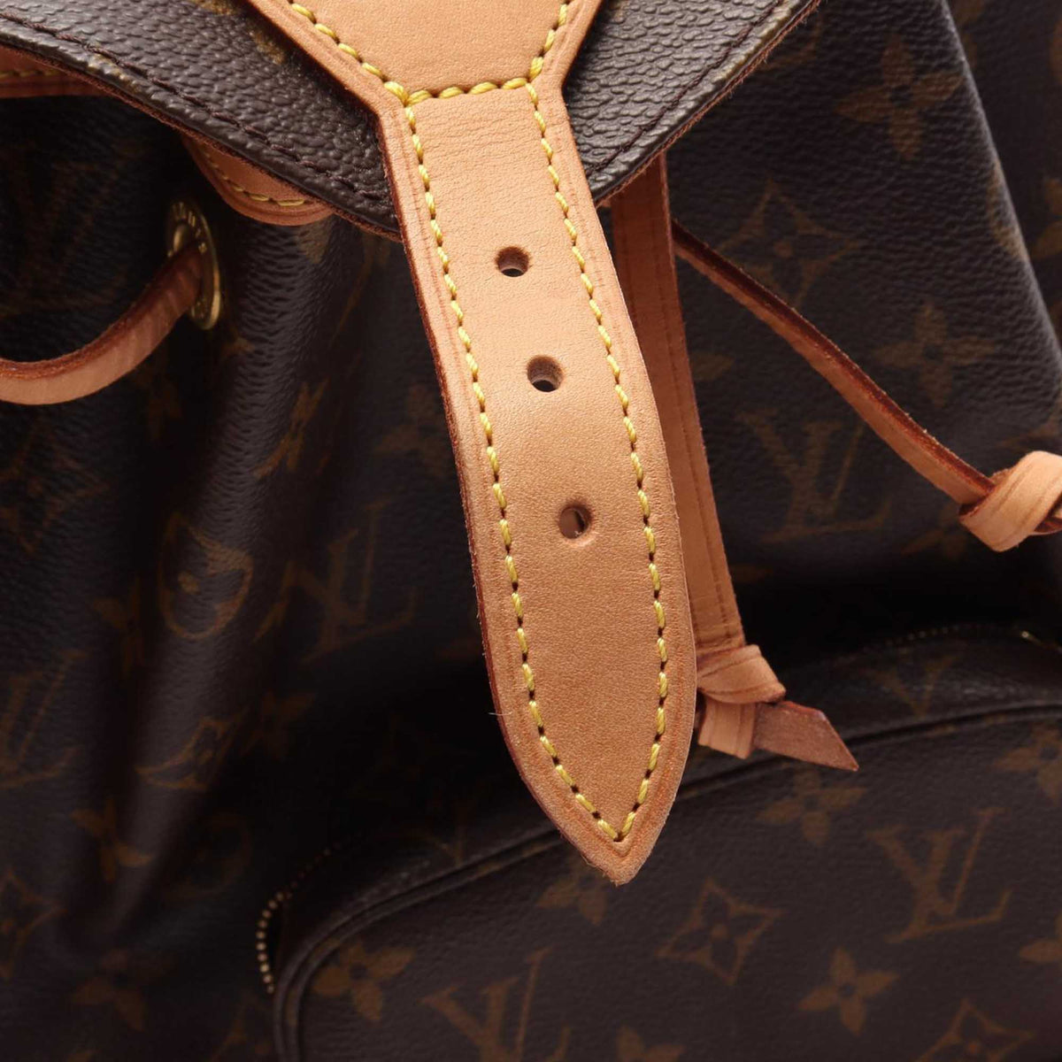 Louis Vuitton Monogram Montsouris MM