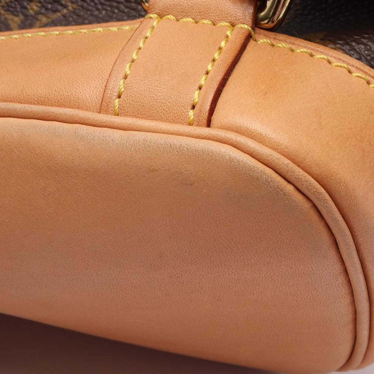 Louis Vuitton Monogram Montsouris MM