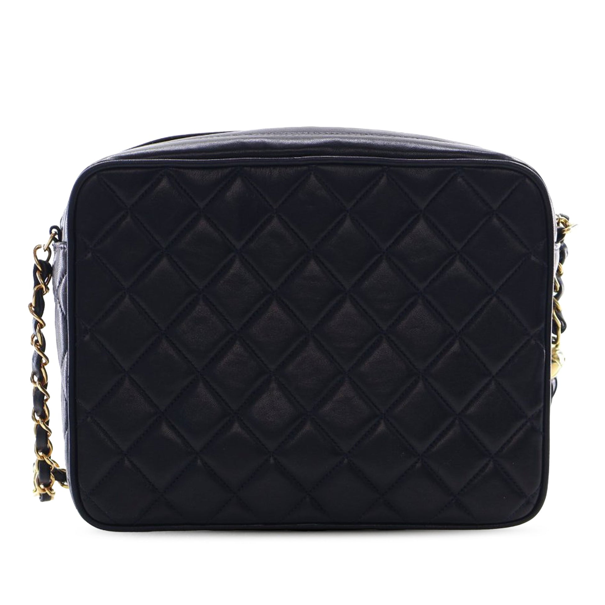 Small Quilted Lambskin Diana Tassel Camera Bag