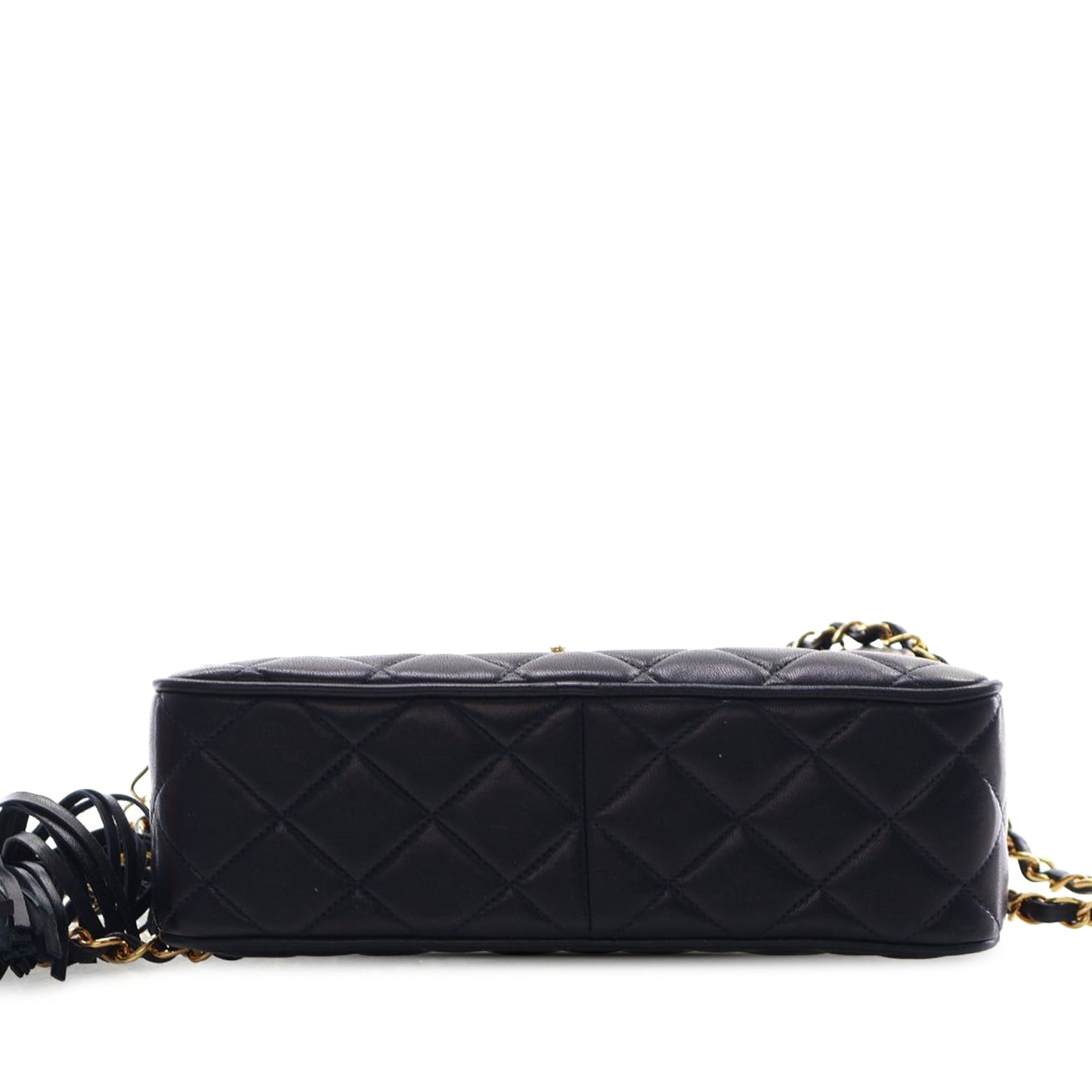 Small Quilted Lambskin Diana Tassel Camera Bag