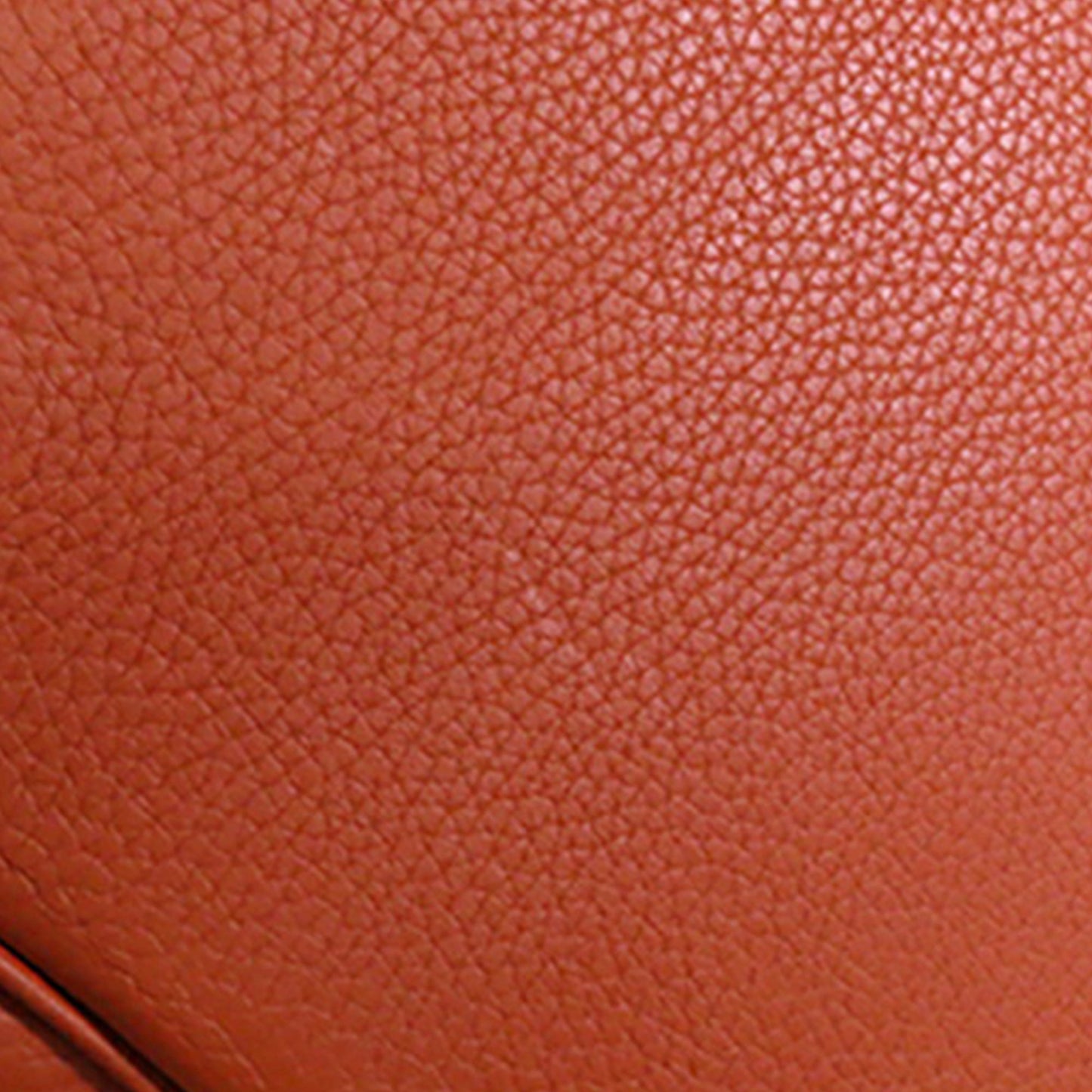Hermès Bicolor Clemence and Swift Picotin Lock 22