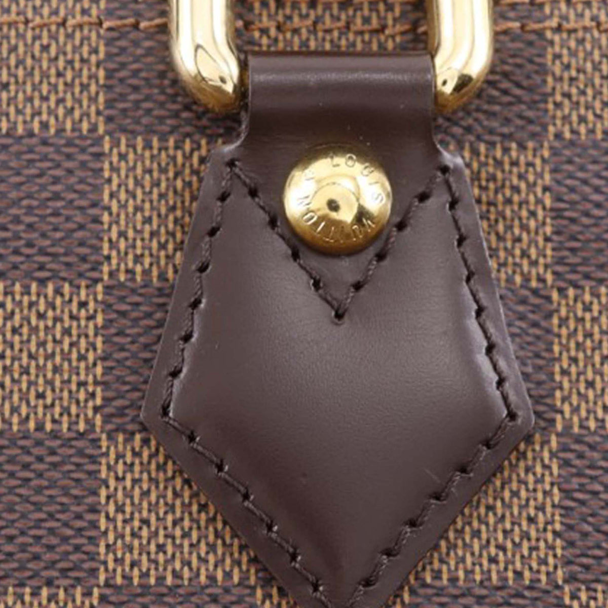 Louis Vuitton Damier Ebene Saleya PM