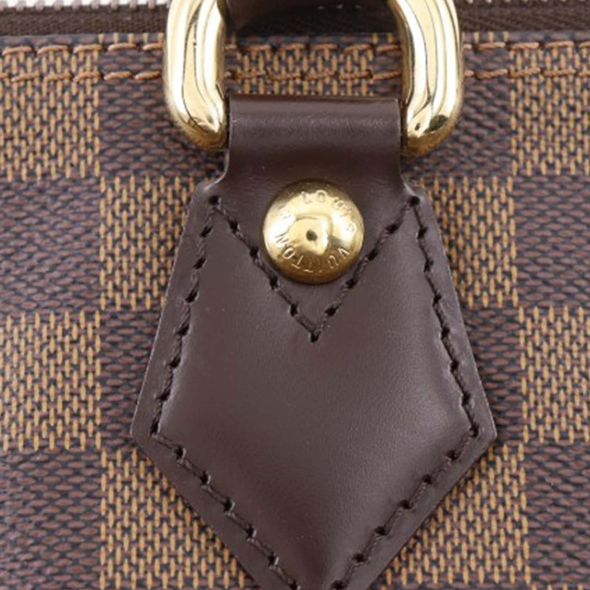 Louis Vuitton Damier Ebene Saleya PM