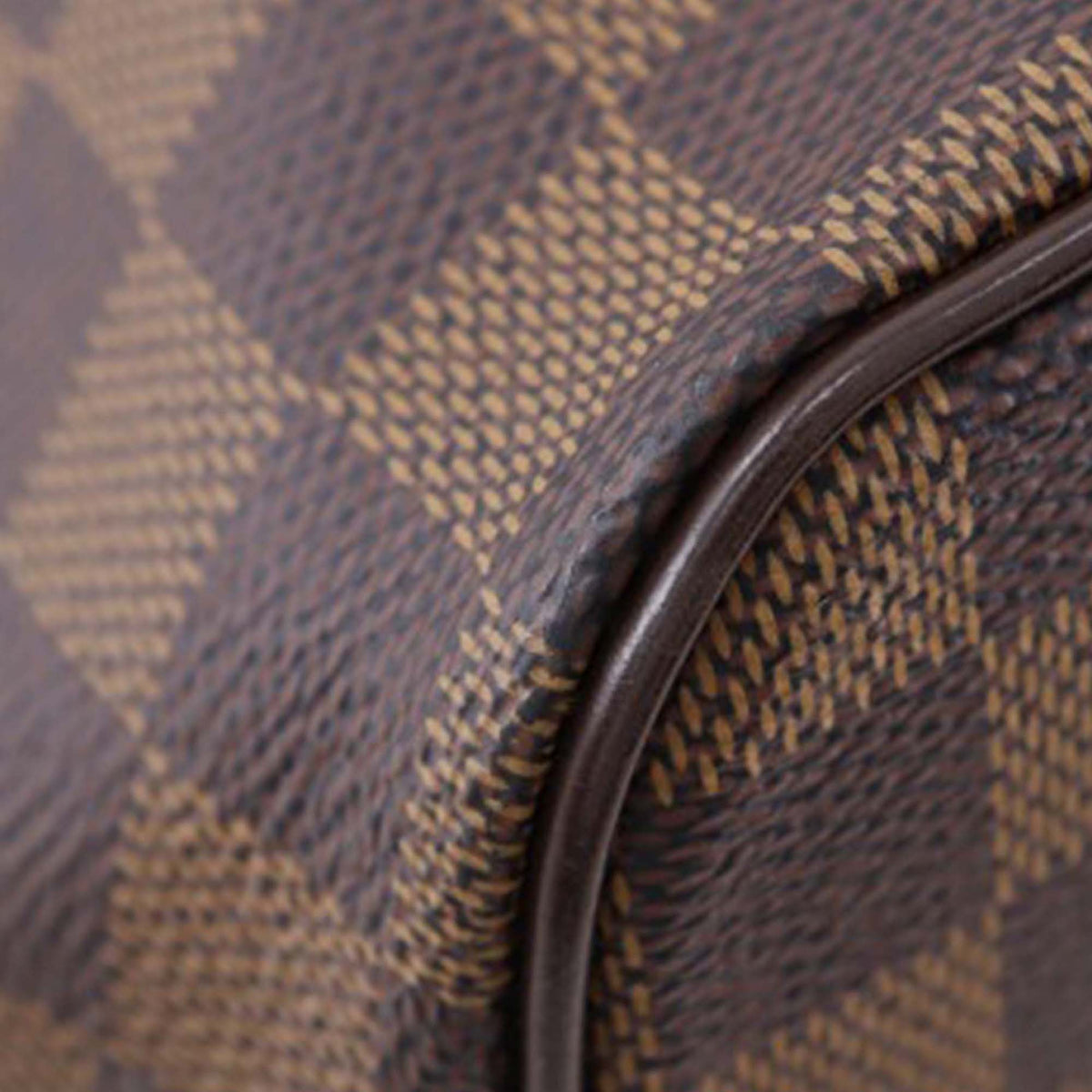 Louis Vuitton Damier Ebene Saleya PM