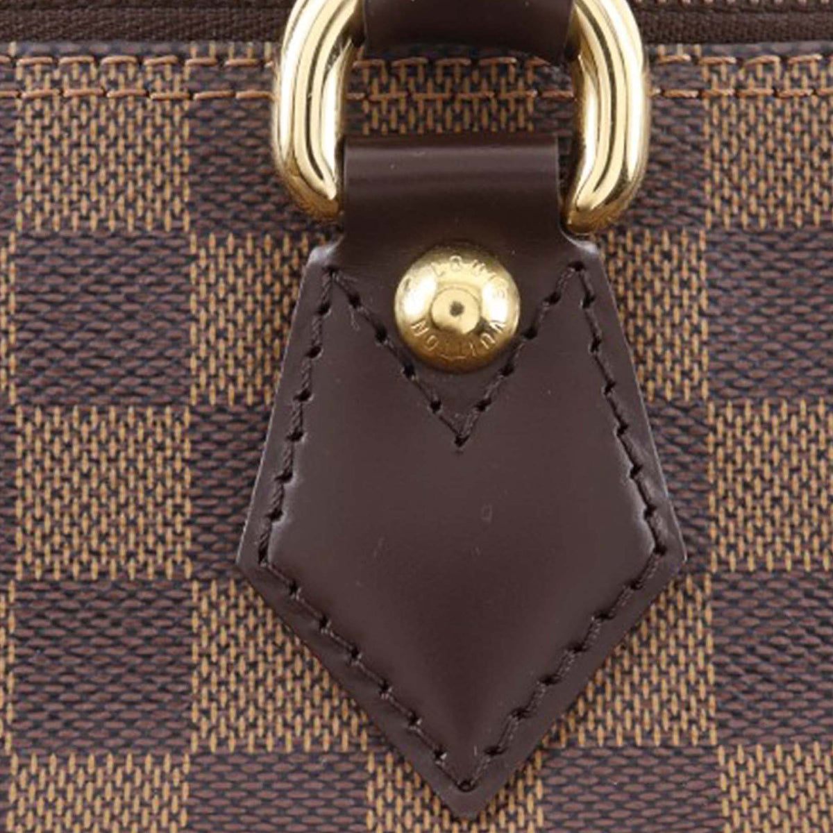 Louis Vuitton Damier Ebene Saleya PM