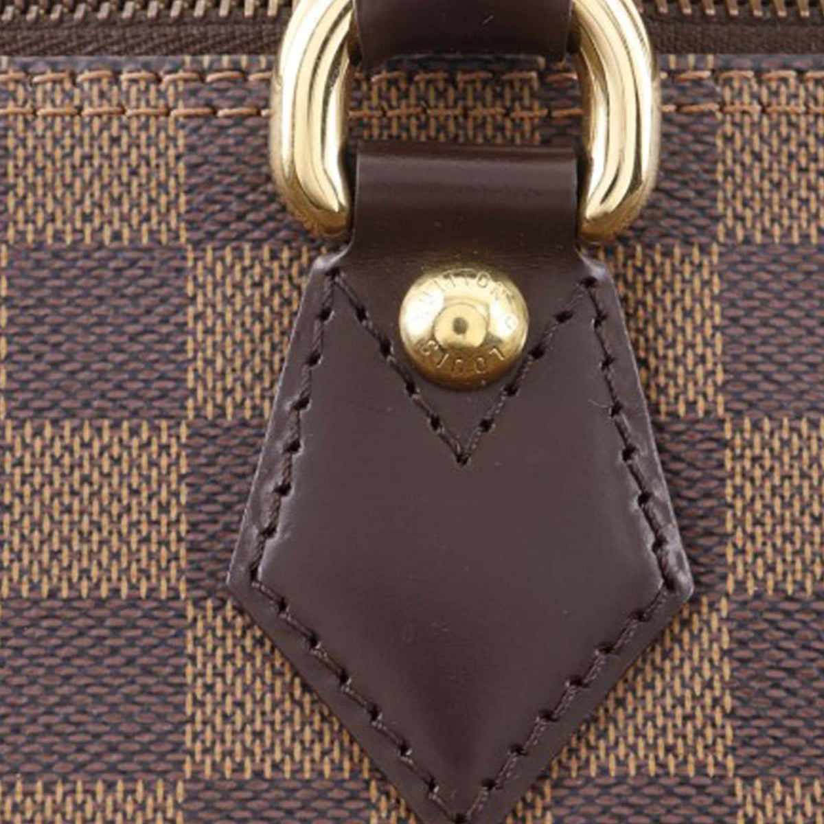 Louis Vuitton Damier Ebene Saleya PM