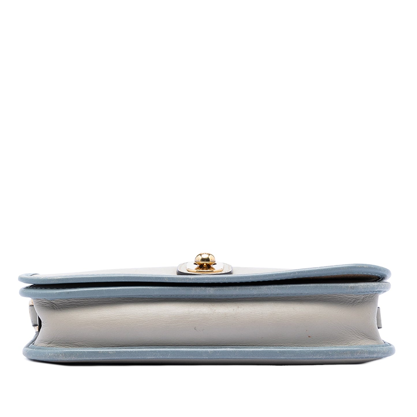 LOEWE Bicolor Leather Anagram Ines Flap Crossbody