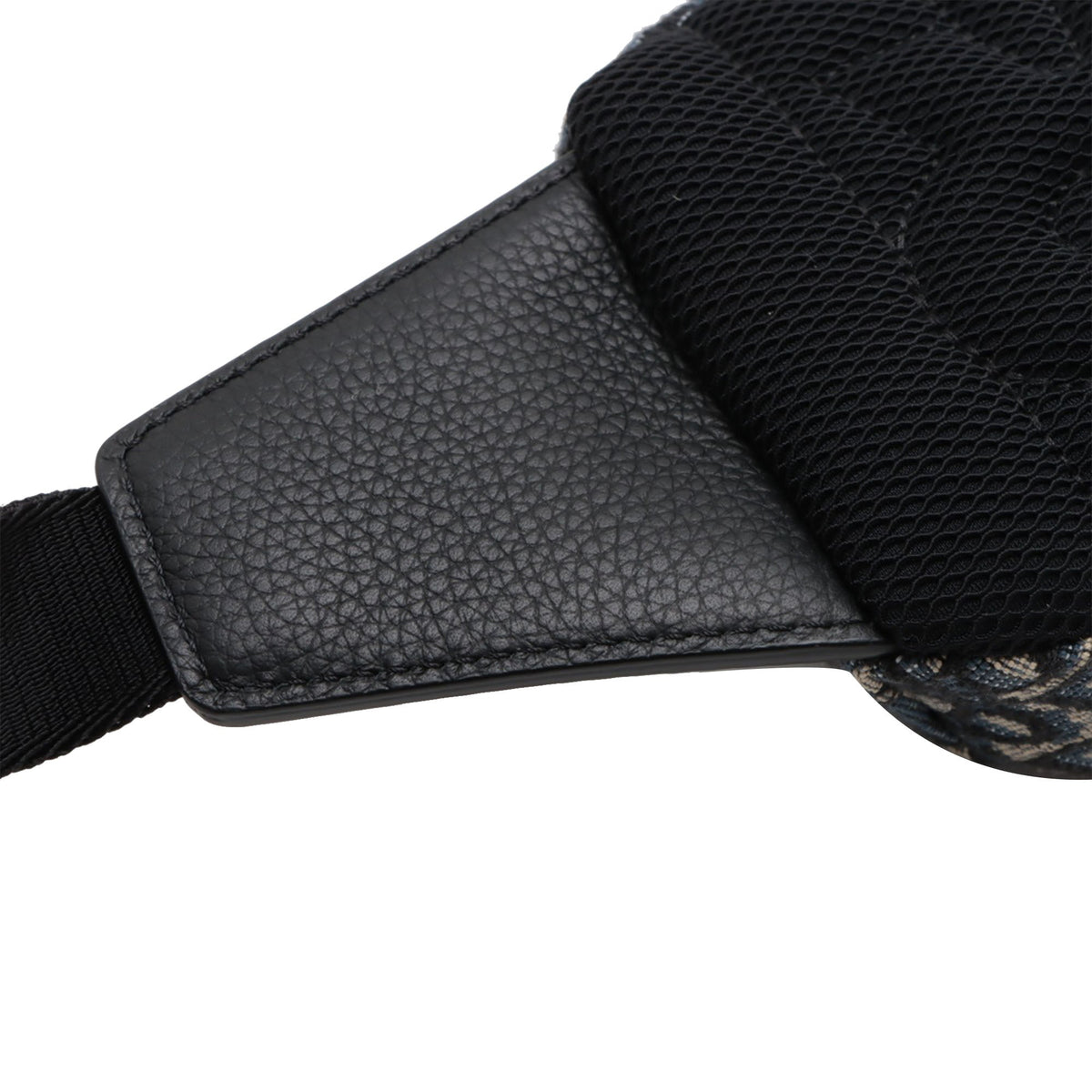 Dior Oblique Canvas Scarab Crossbody