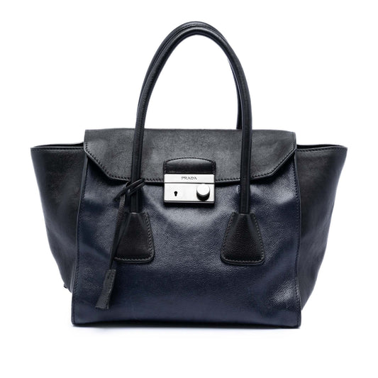 Prada Bicolor Glace Calf Sound Lock Satchel