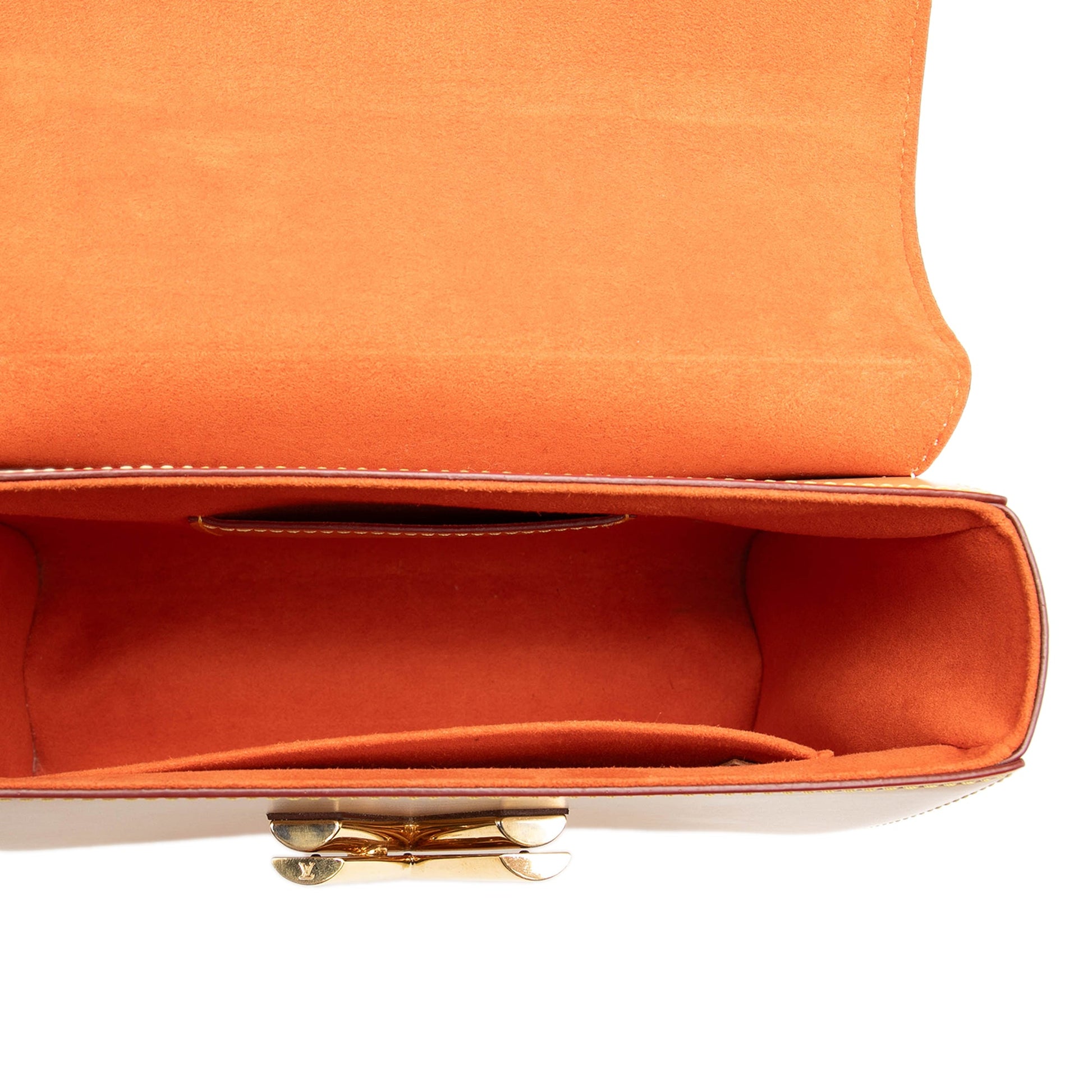 Louis Vuitton Grace Coddington Monogram Catogram Twist MM