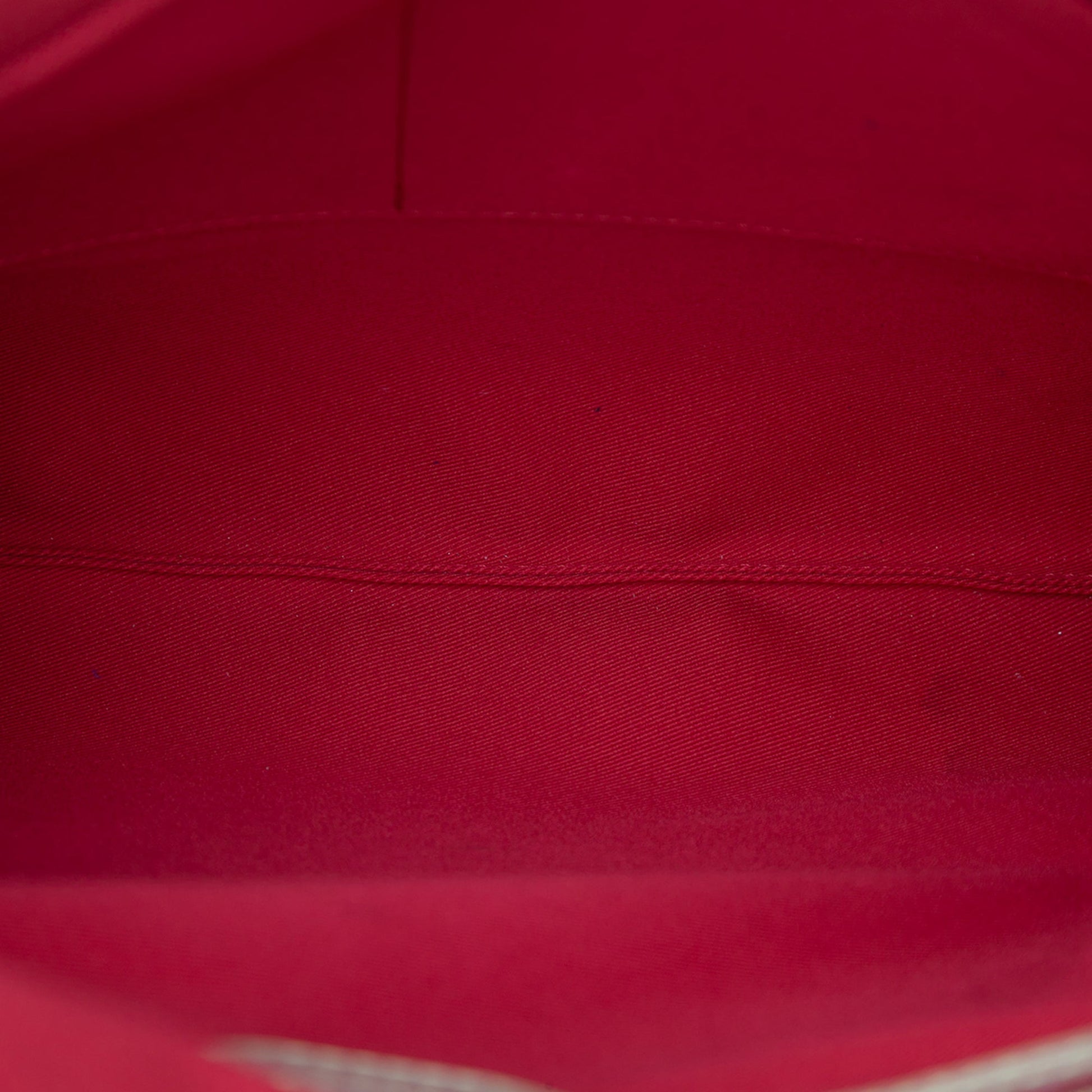 Louis Vuitton Monogram Carry It