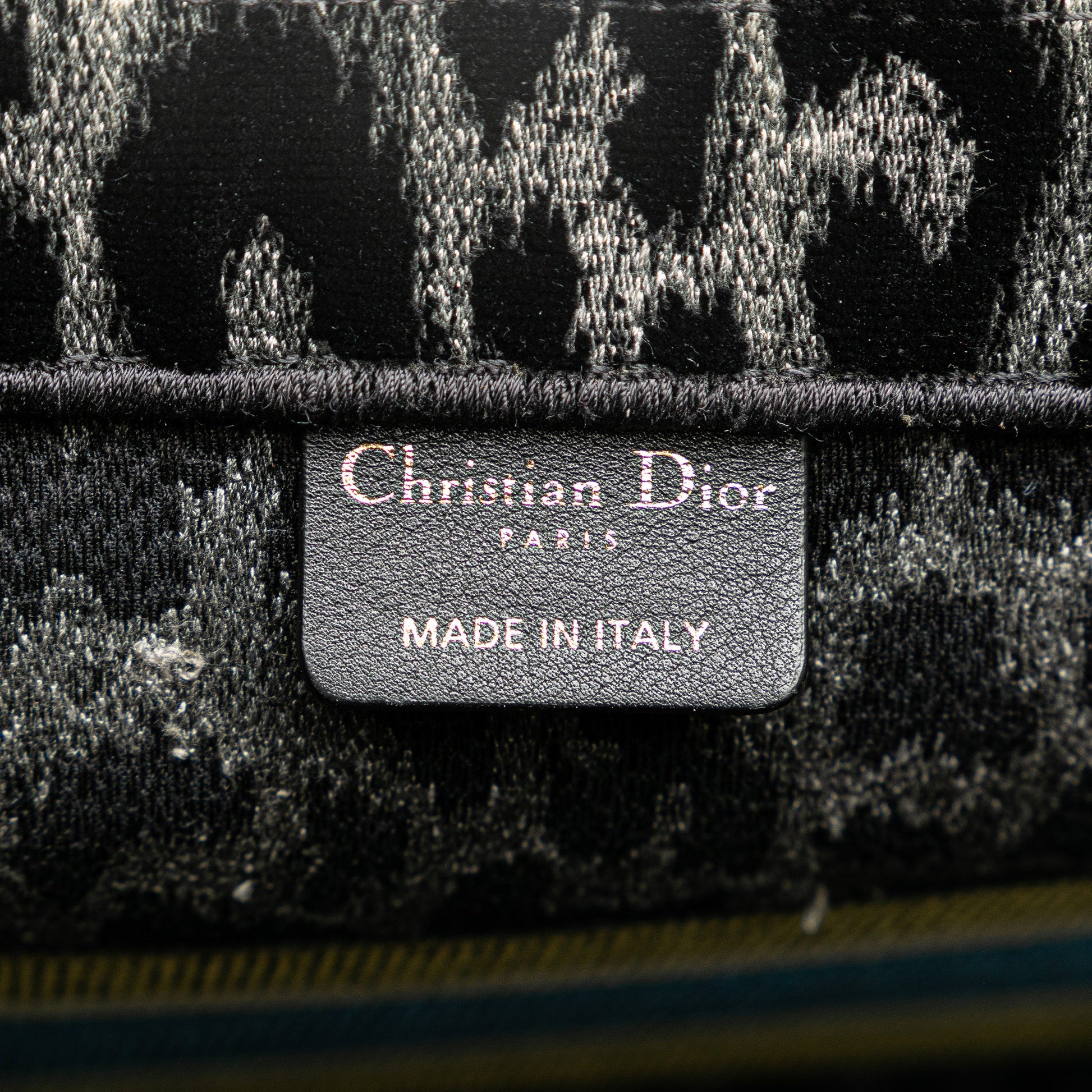Dior Mizza Medium Embroidered Canvas Leopard Book Tote
