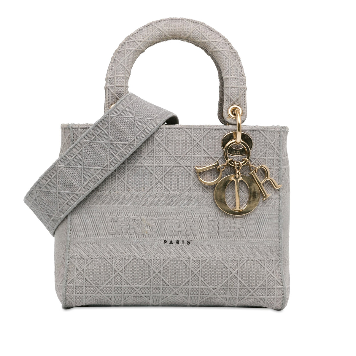 Dior Medium Embroidered Canvas Cannage Lady D Lite