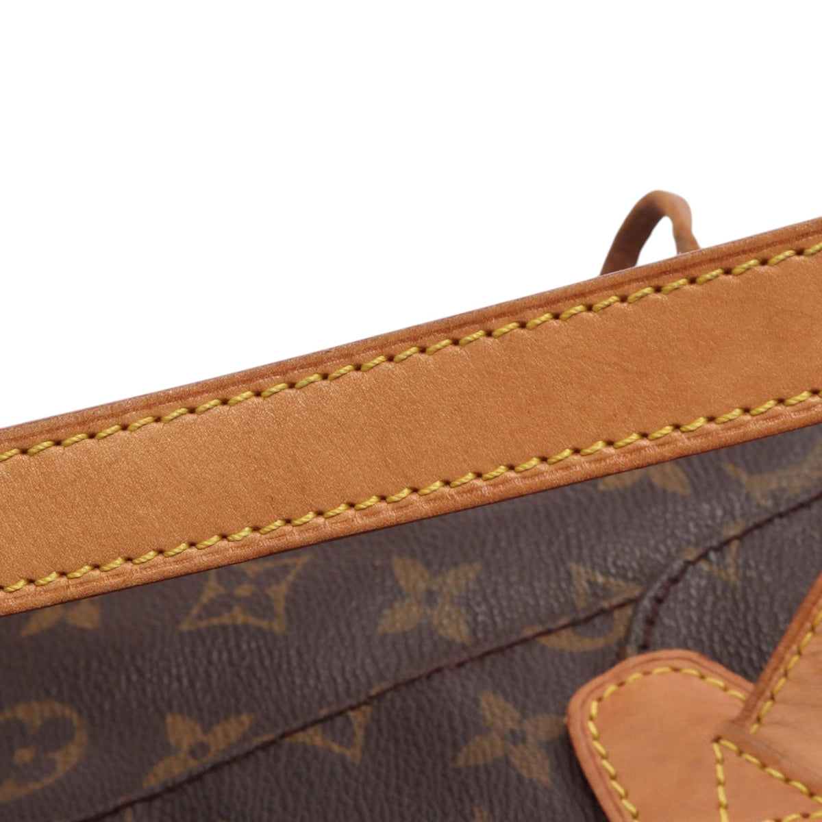 Louis Vuitton Monogram Montsouris MM