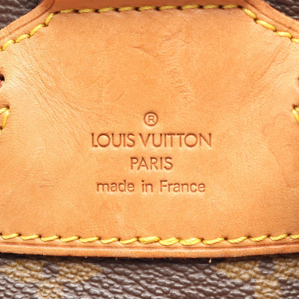 Louis Vuitton Monogram Montsouris MM