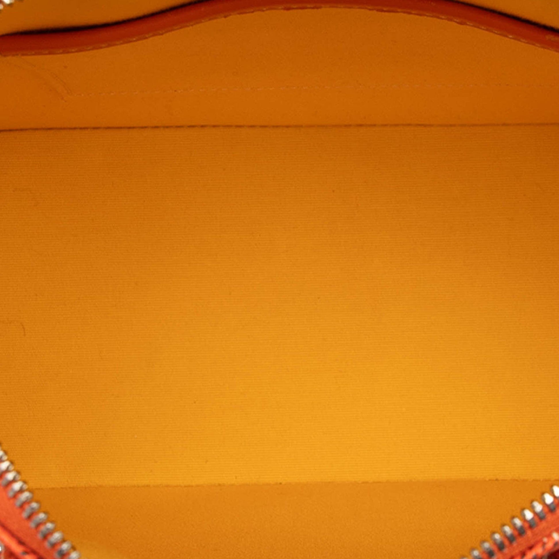 Goyard Goyardine Vendome Mini