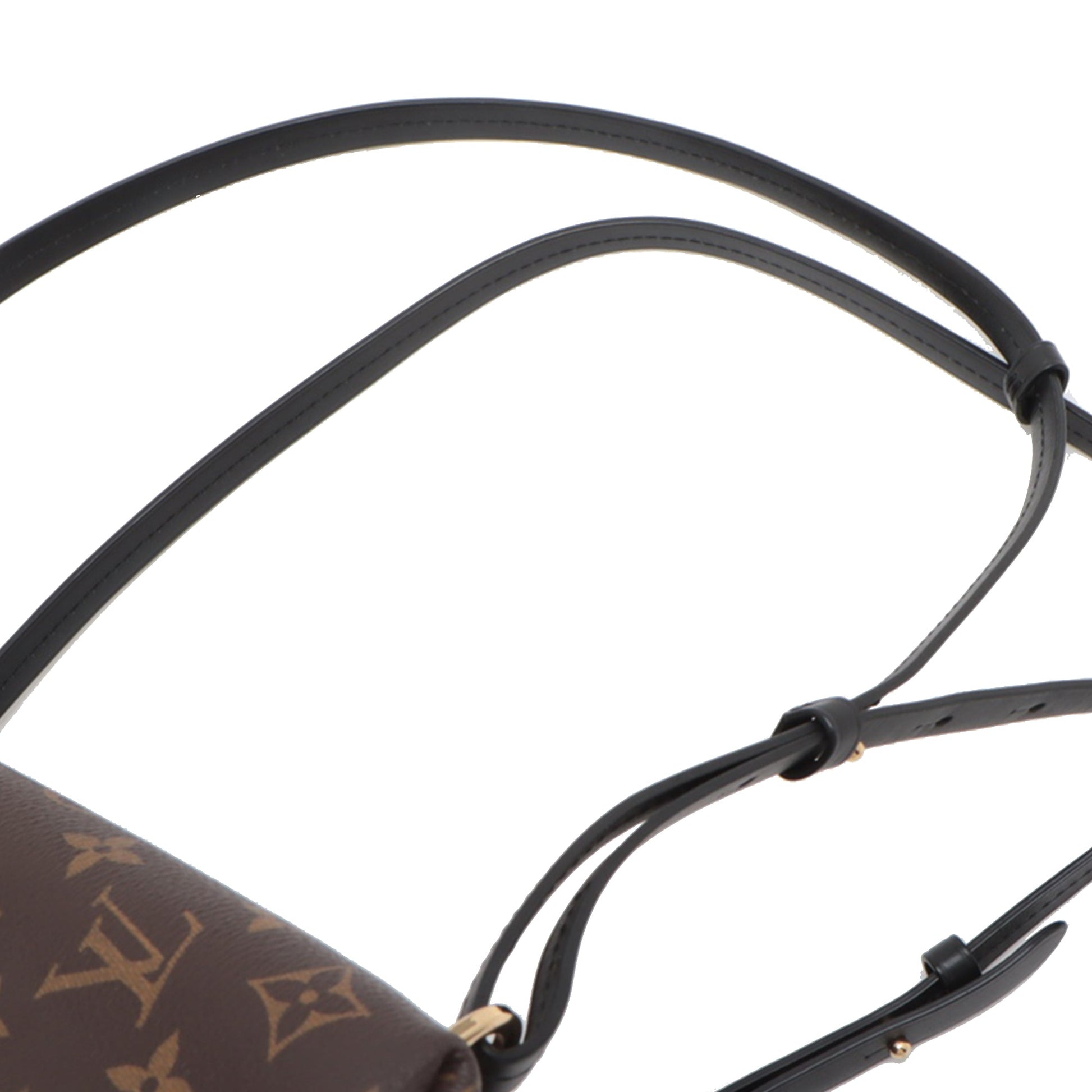 Louis Vuitton Monogram Montsouris PM
