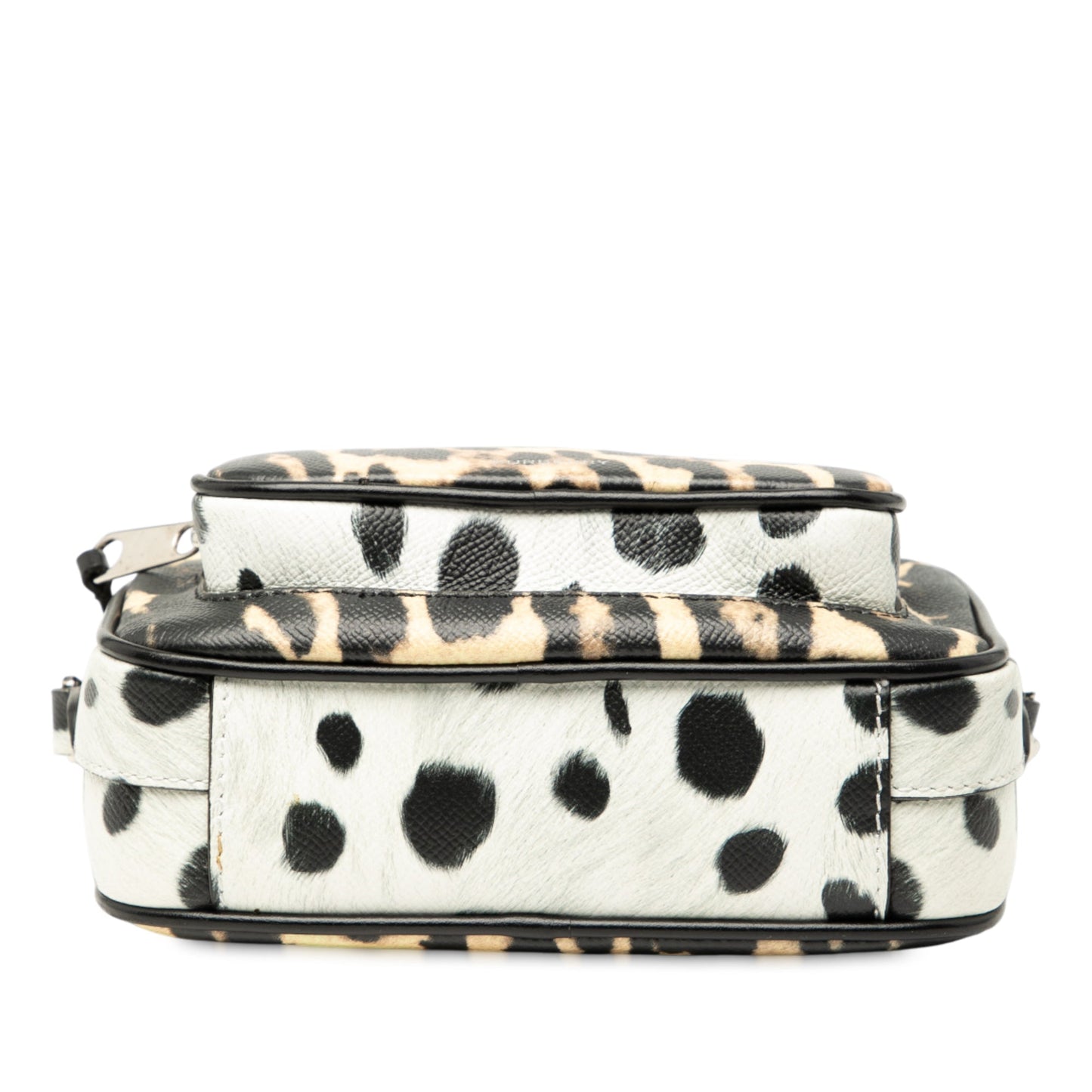 Burberry Leopard Printed Leather Camera Bag