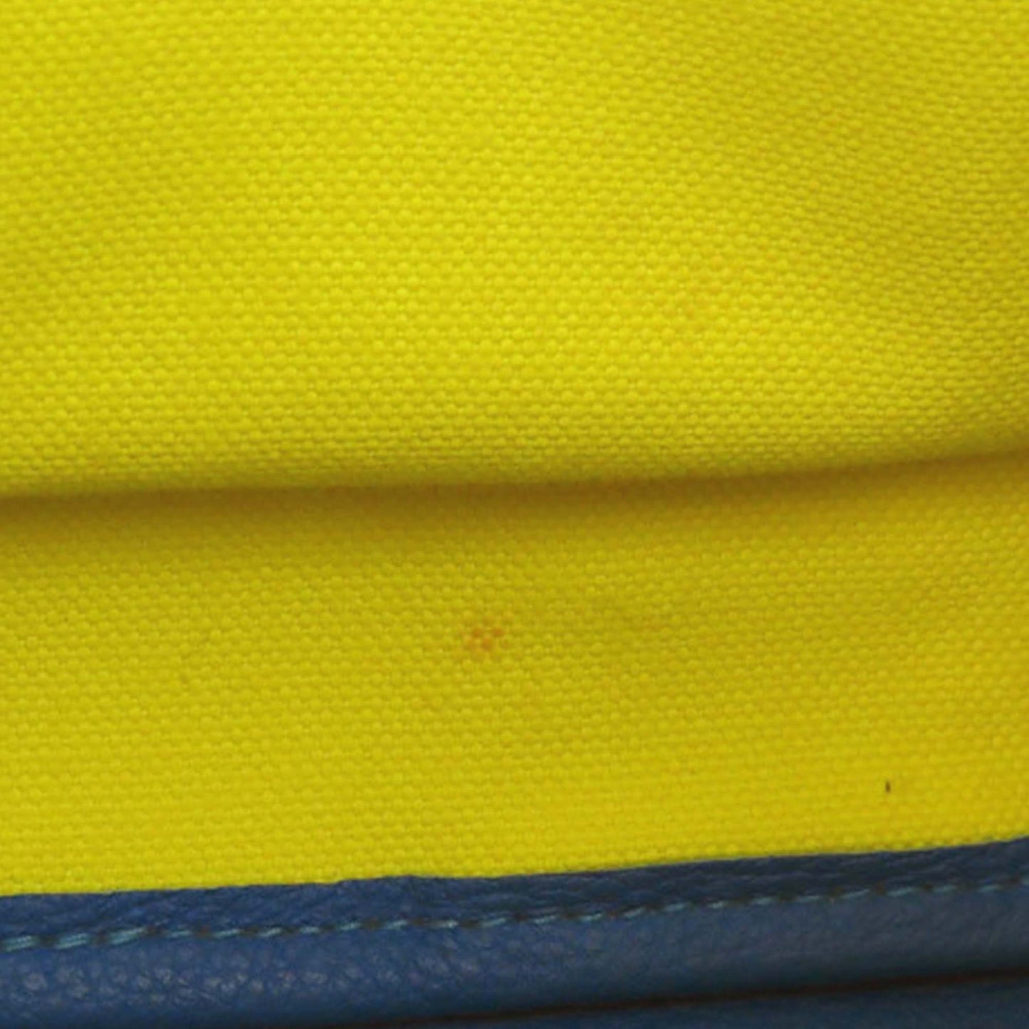Hermès Toile and Clemence Pursangle Tote