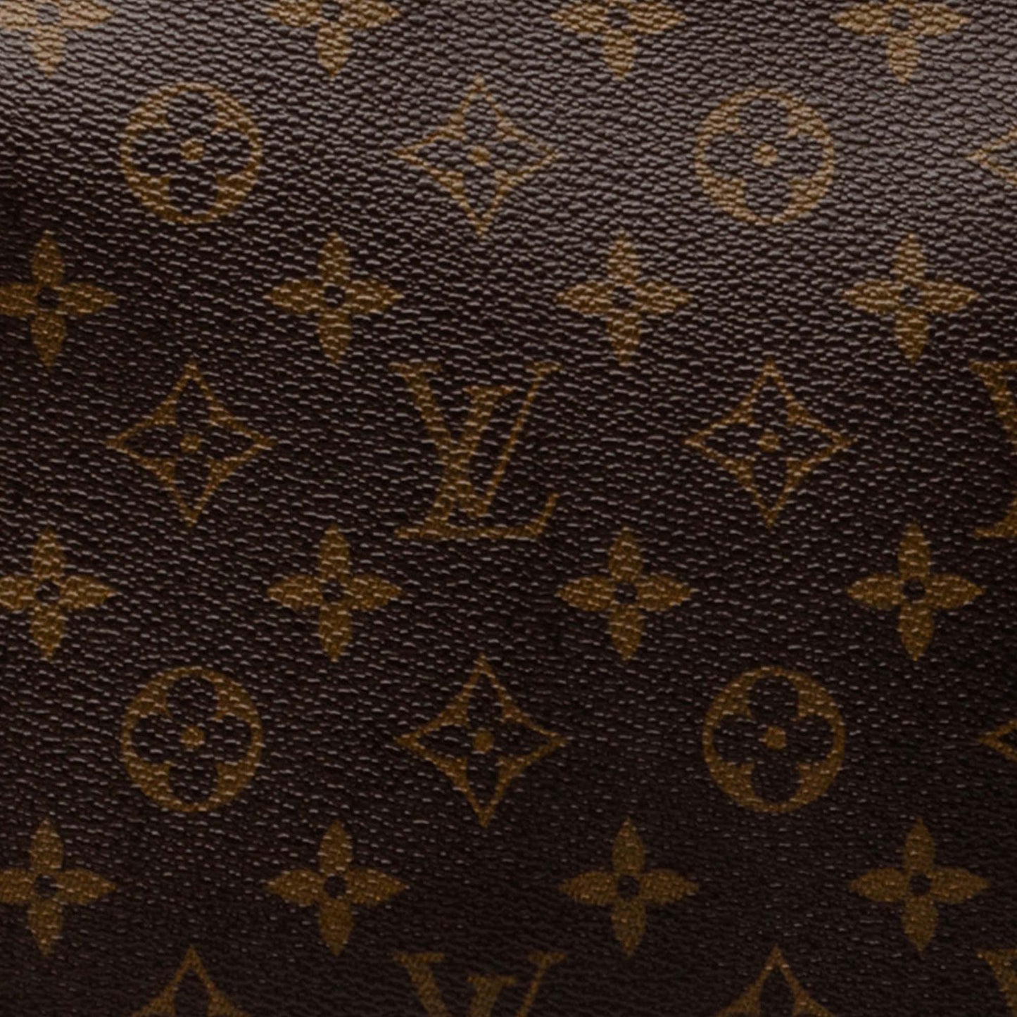 Louis Vuitton Monogram Looping MM