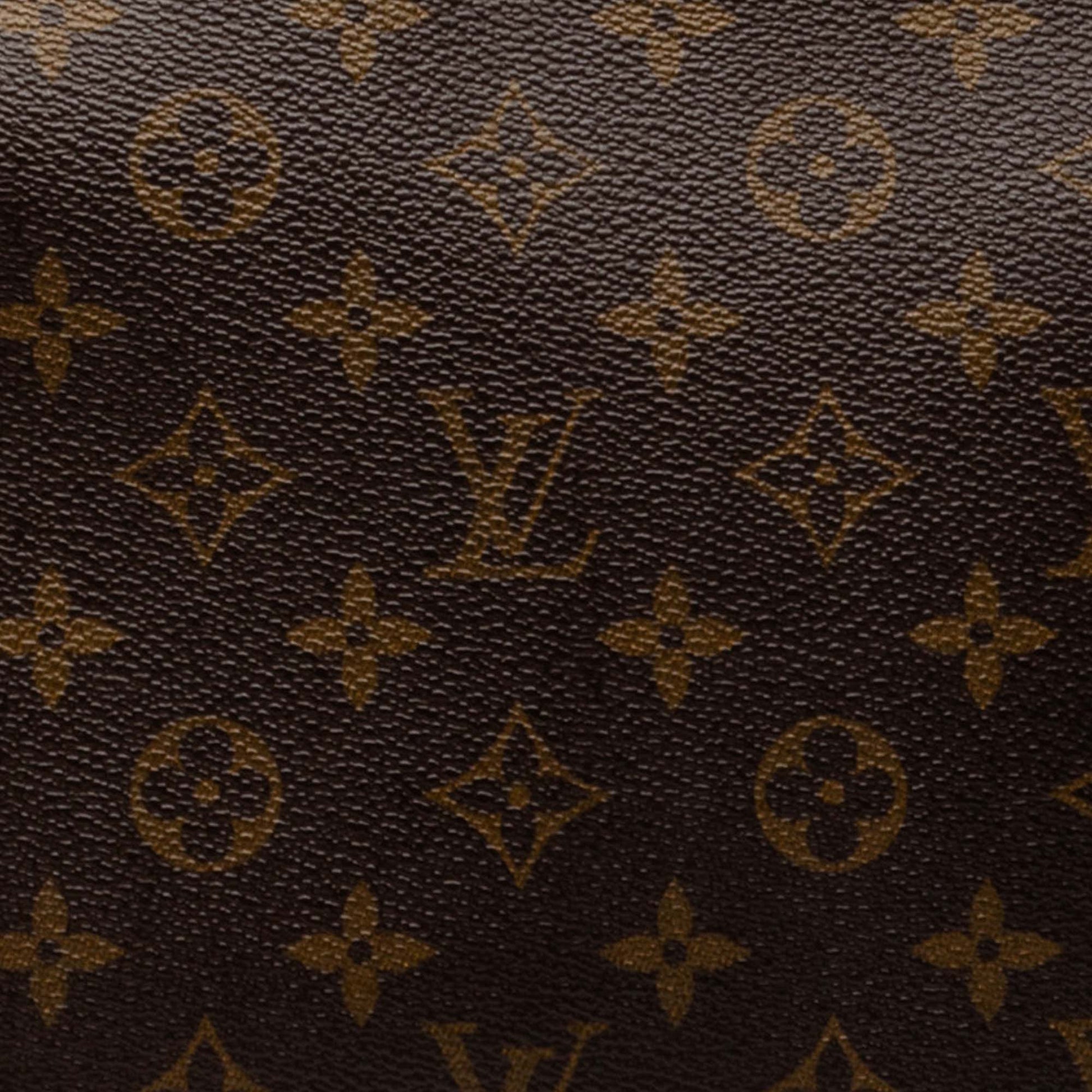 Louis Vuitton Monogram Looping MM