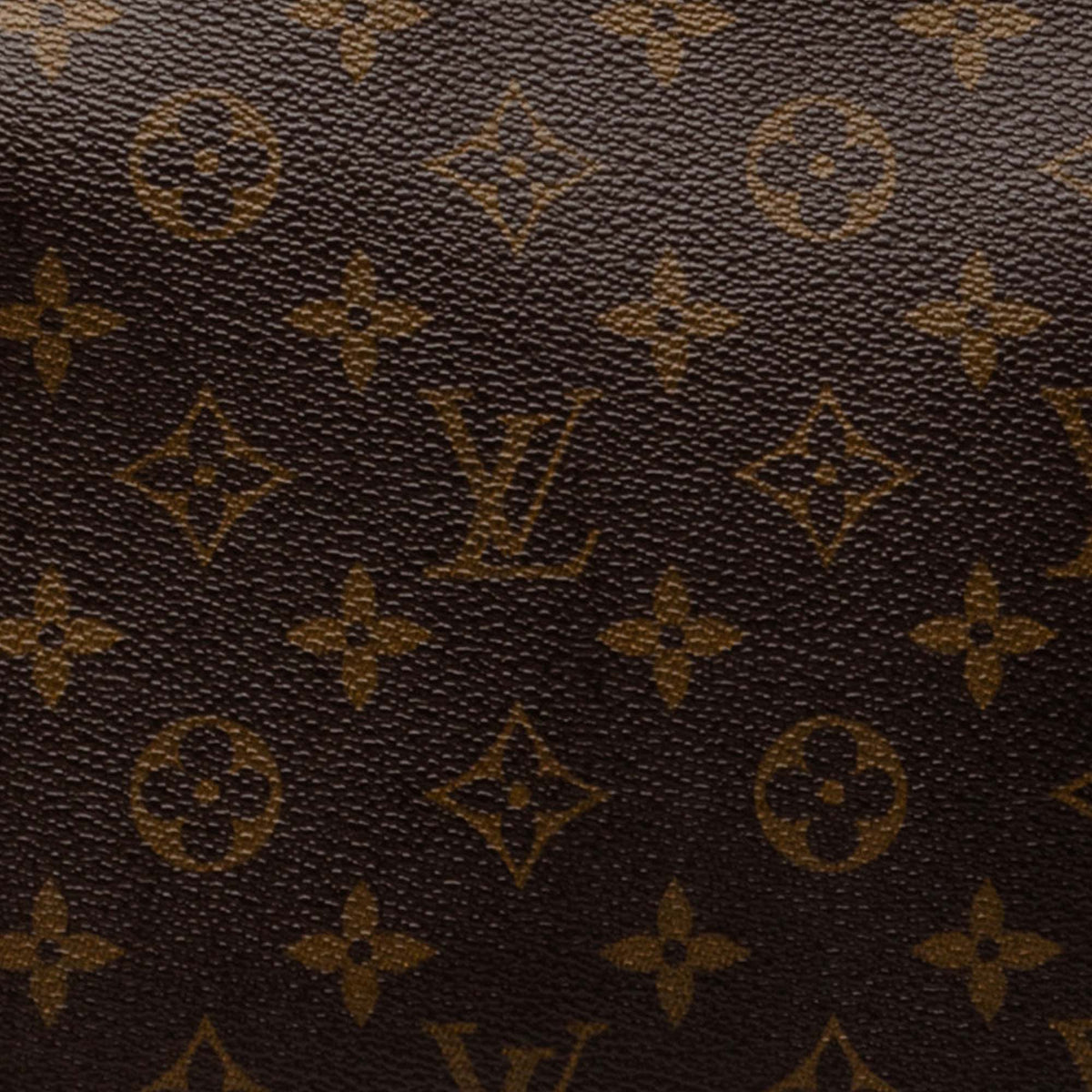 Louis Vuitton Monogram Looping MM