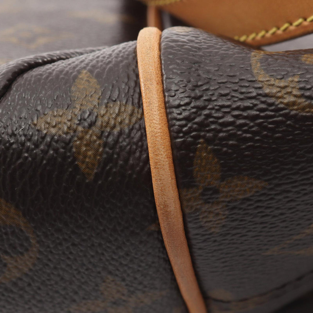 Louis Vuitton Monogram Totally PM
