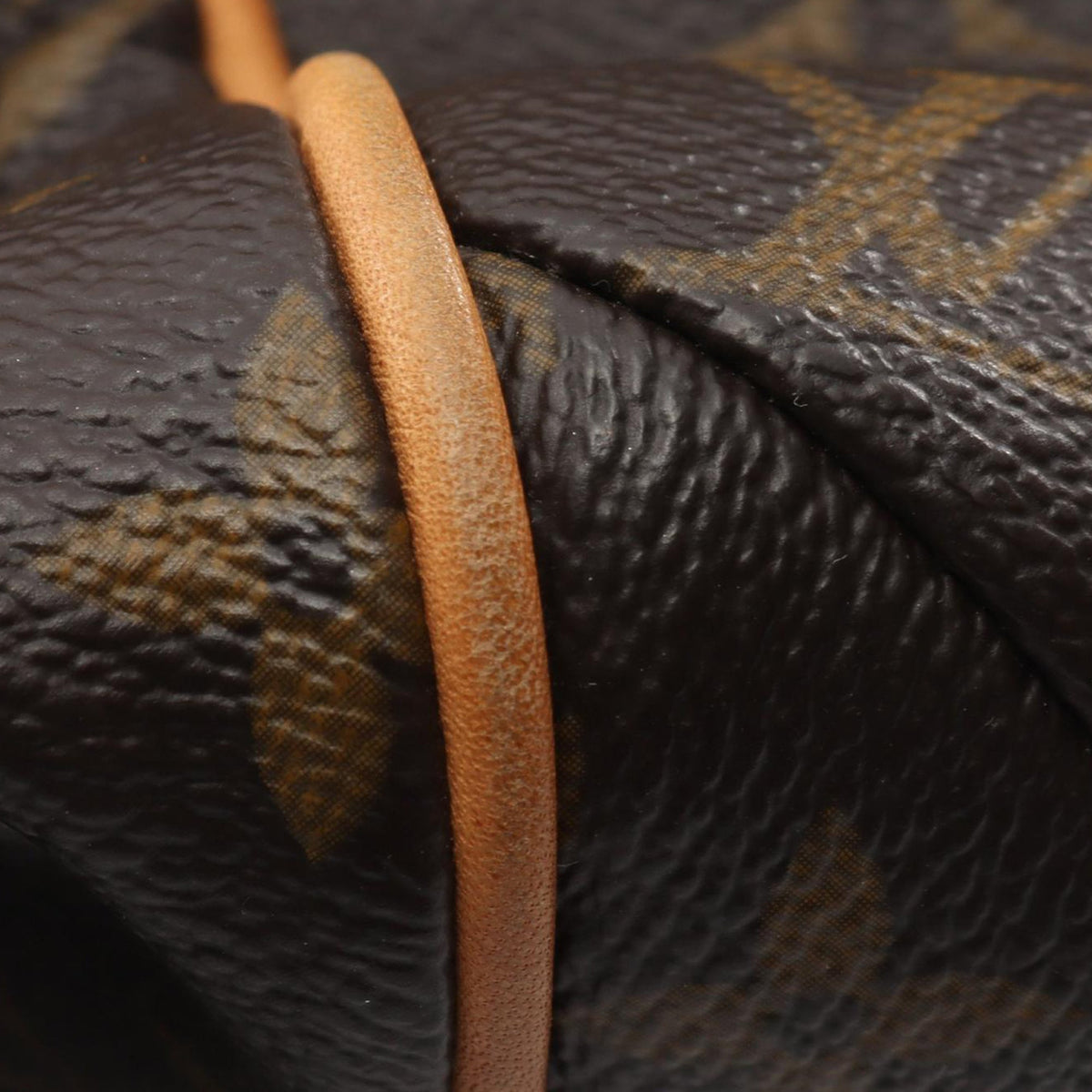 Louis Vuitton Monogram Totally PM