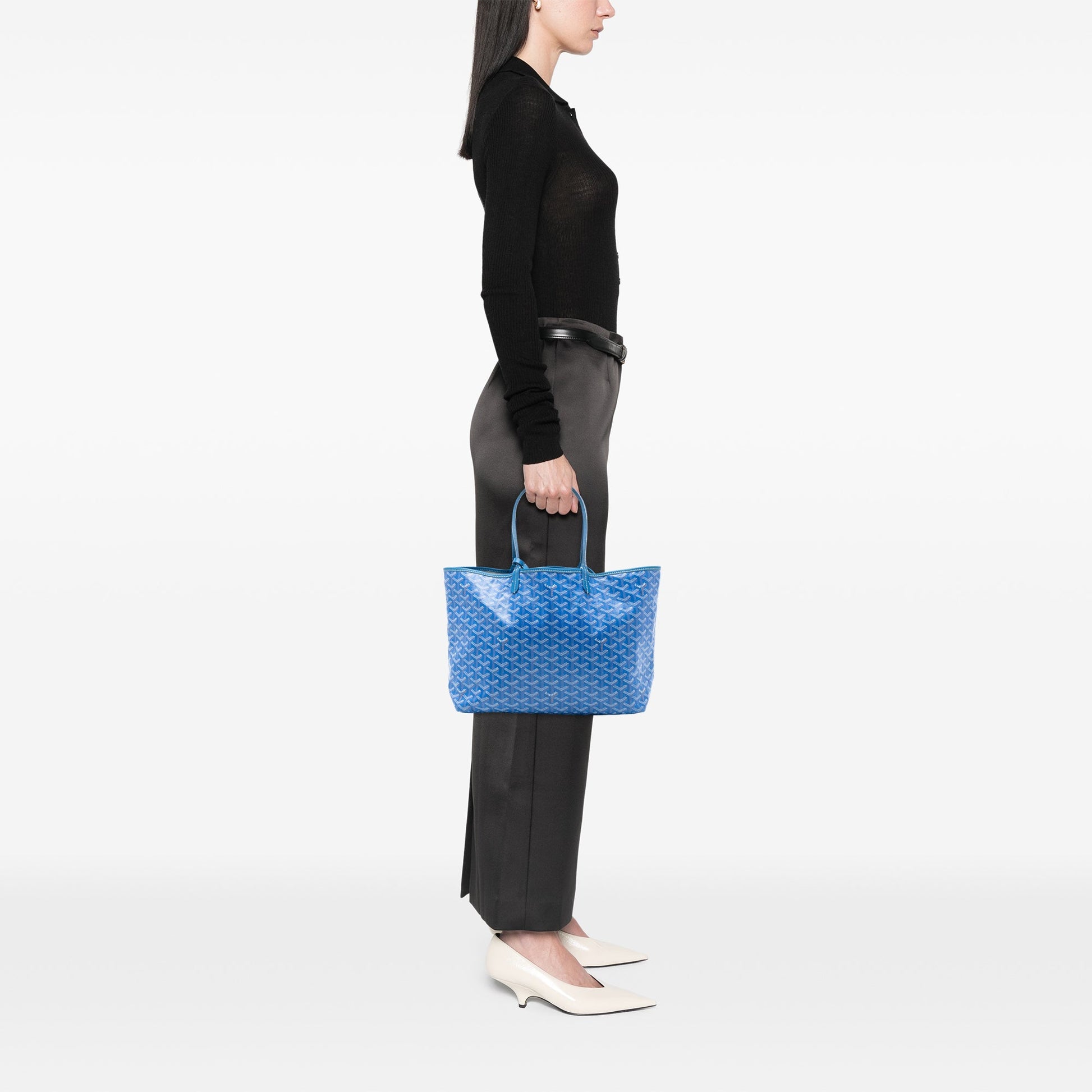 Goyard Goyardine Saint Louis PM