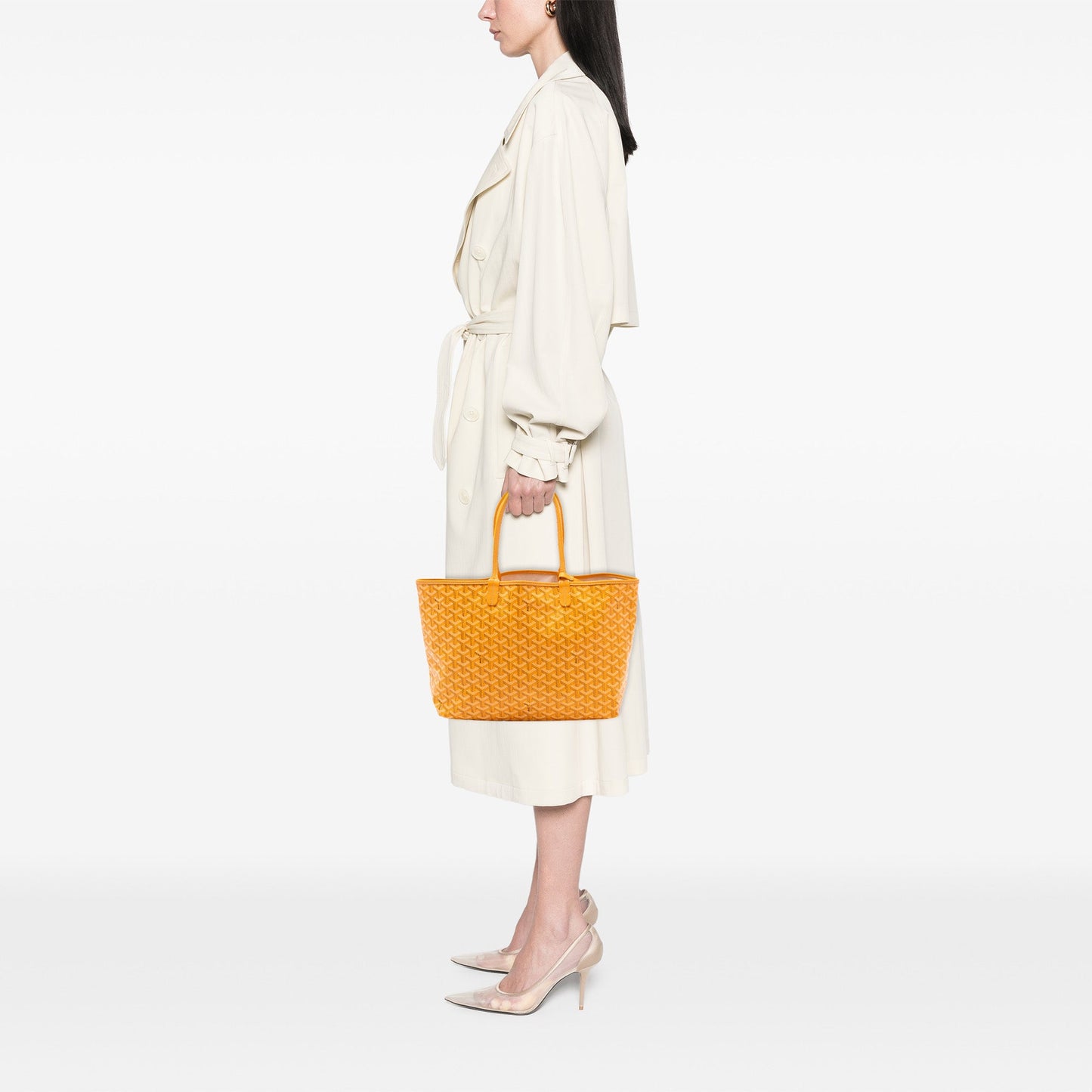 Goyard Goyardine Saint Louis PM