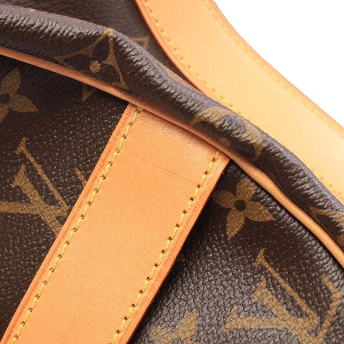 Louis Vuitton Monogram Carryall