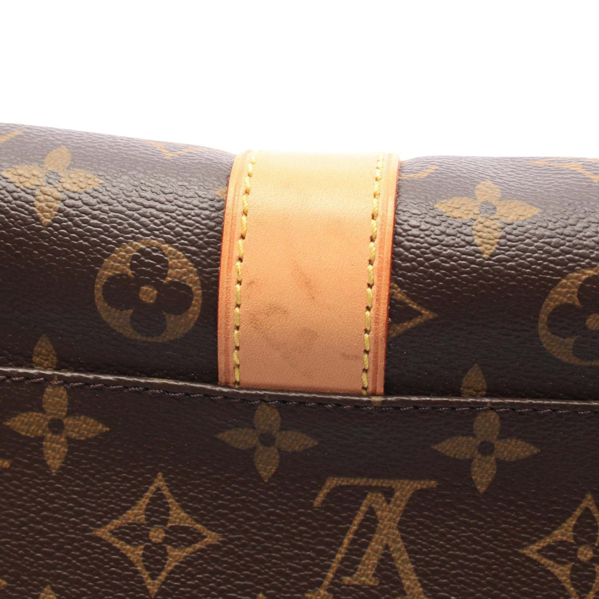 Louis Vuitton Monogram Carryall