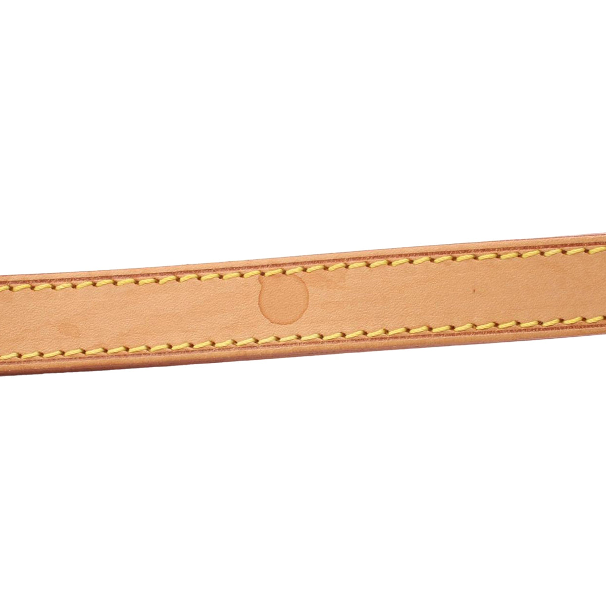 Louis Vuitton Monogram Musette Salsa Long Strap