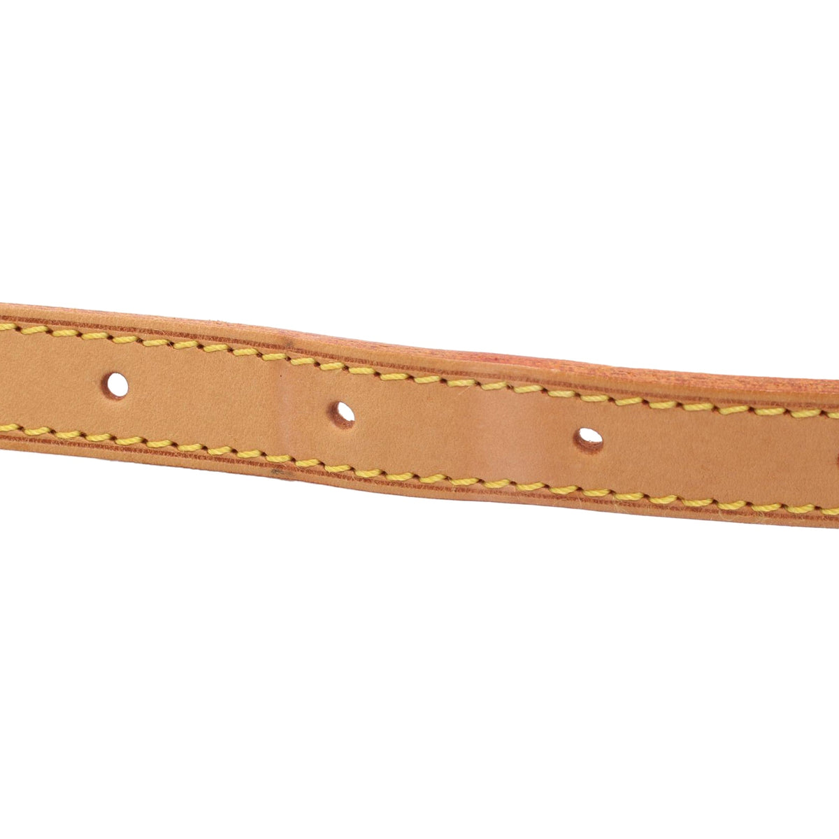 Louis Vuitton Monogram Musette Salsa Long Strap