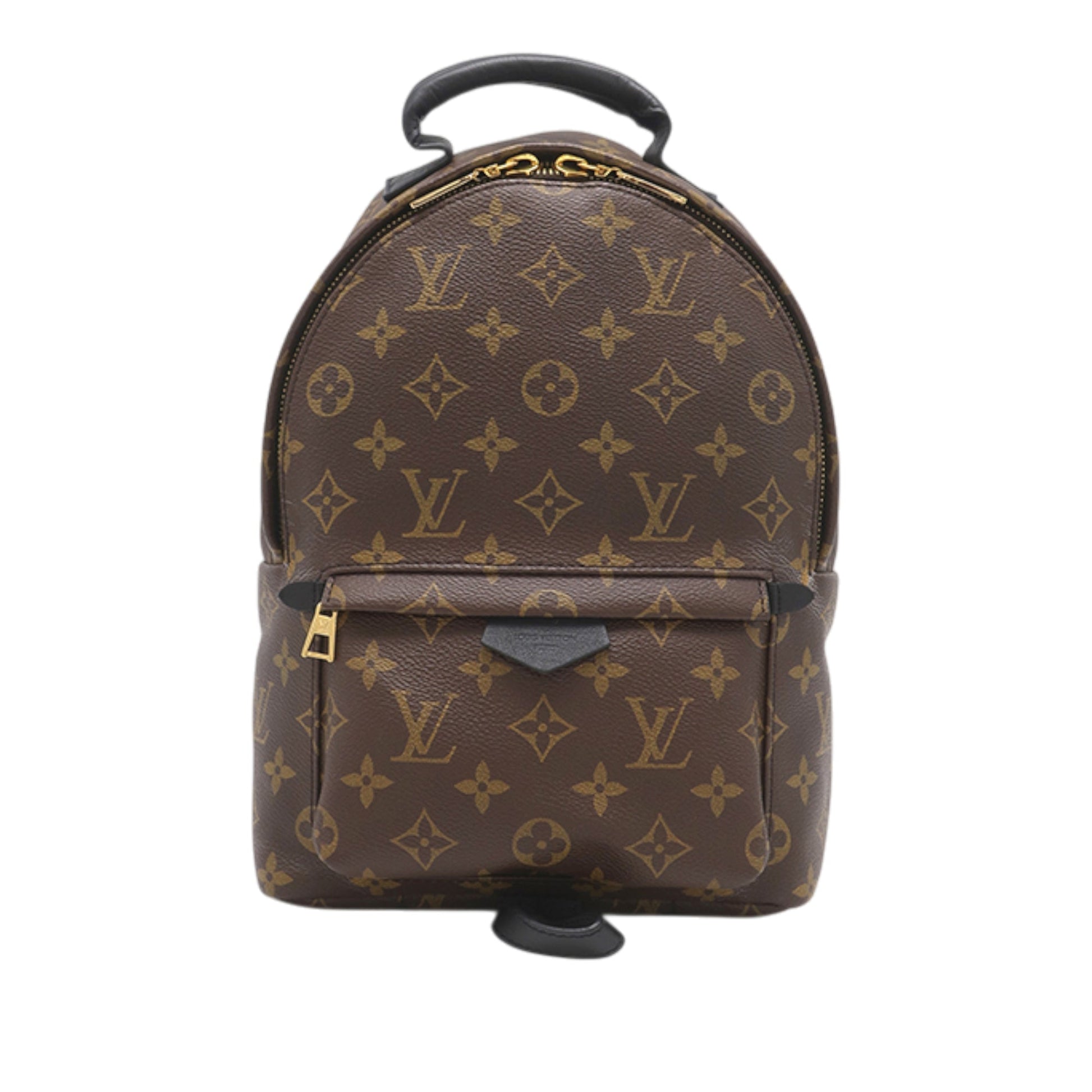Louis Vuitton Monogram Palm Springs PM