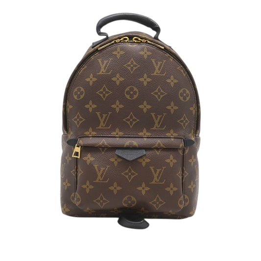 Louis Vuitton Monogram Palm Springs PM