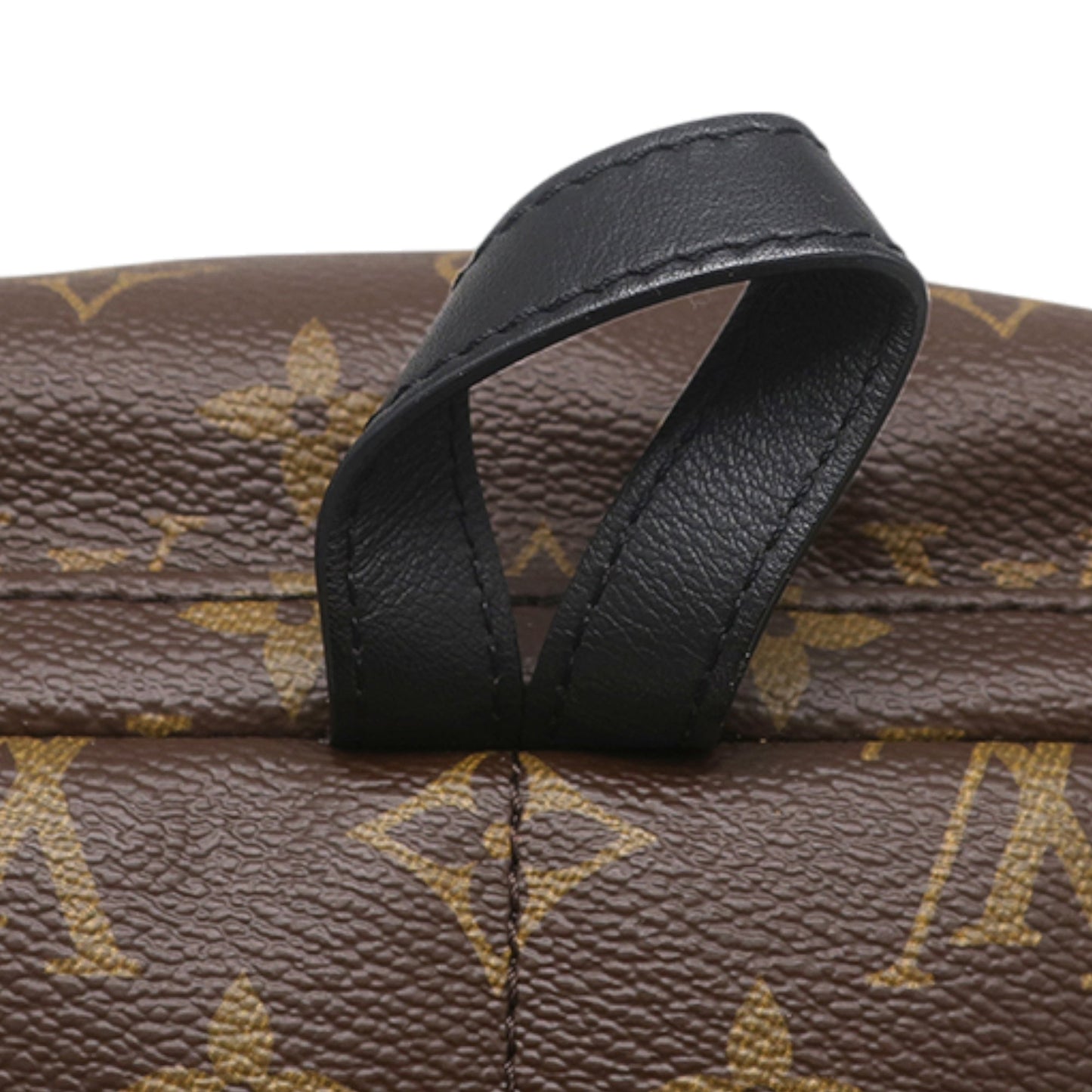 Louis Vuitton Monogram Palm Springs PM