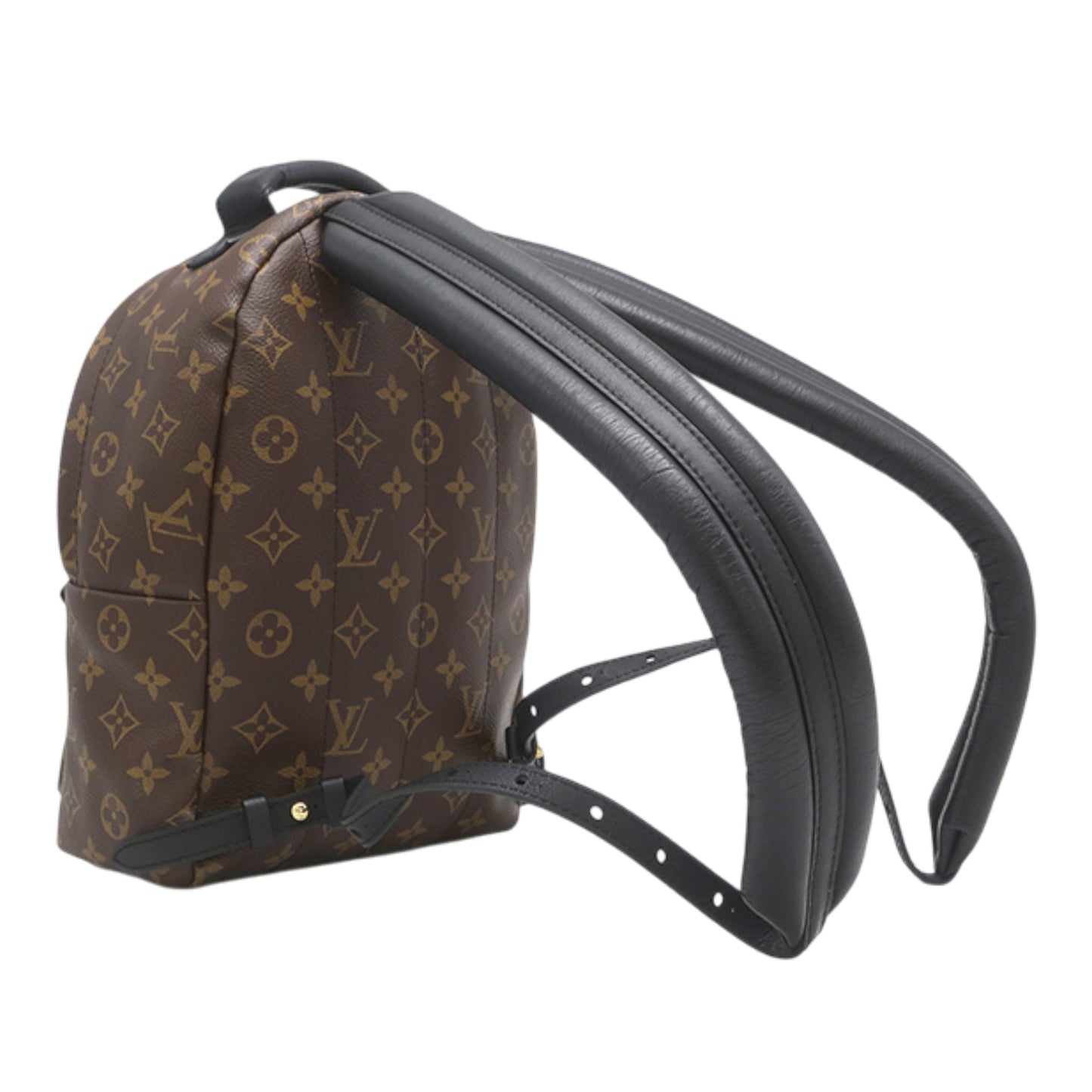 Louis Vuitton Monogram Palm Springs PM