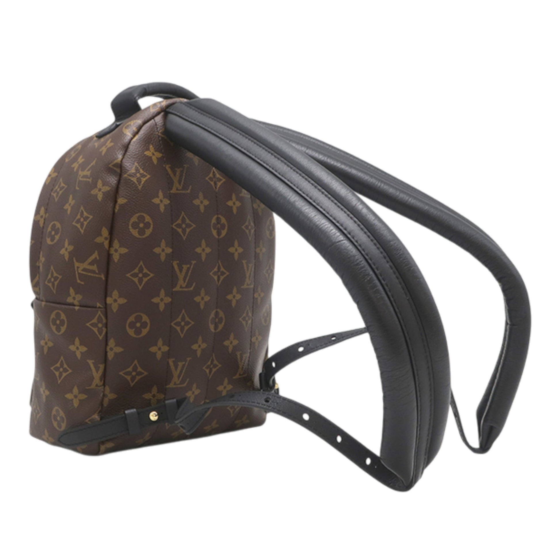 Louis Vuitton Monogram Palm Springs PM