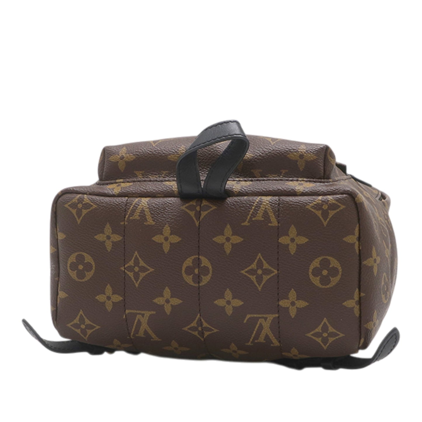 Louis Vuitton Monogram Palm Springs PM