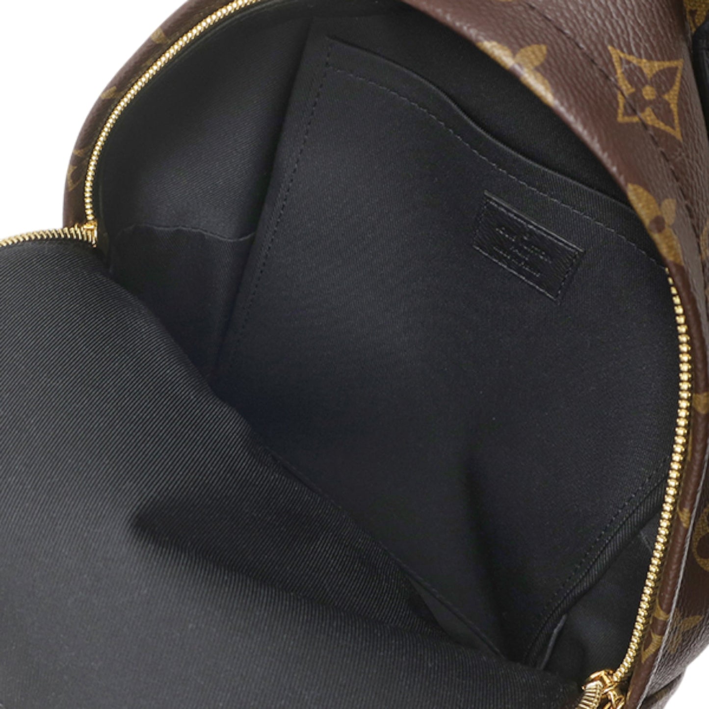 Louis Vuitton Monogram Palm Springs PM