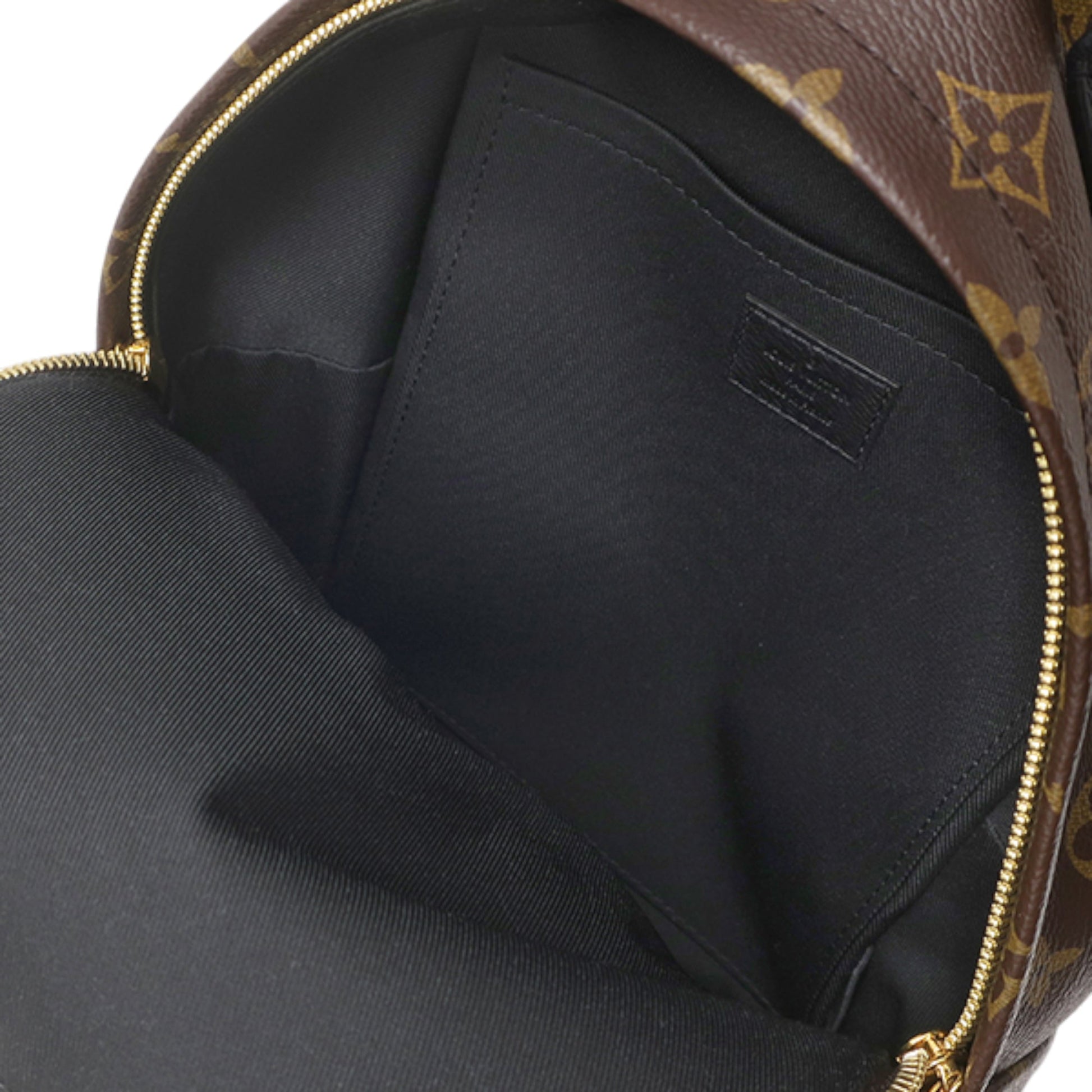 Louis Vuitton Monogram Palm Springs PM