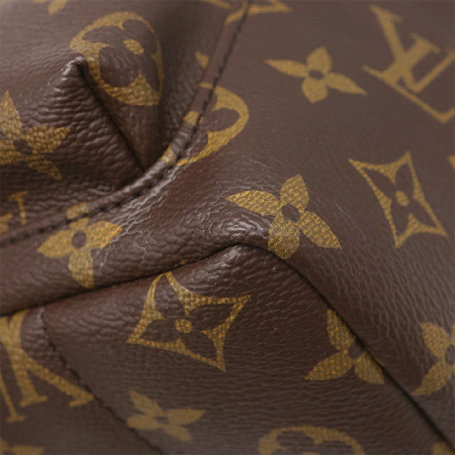 Louis Vuitton Monogram Palm Springs PM