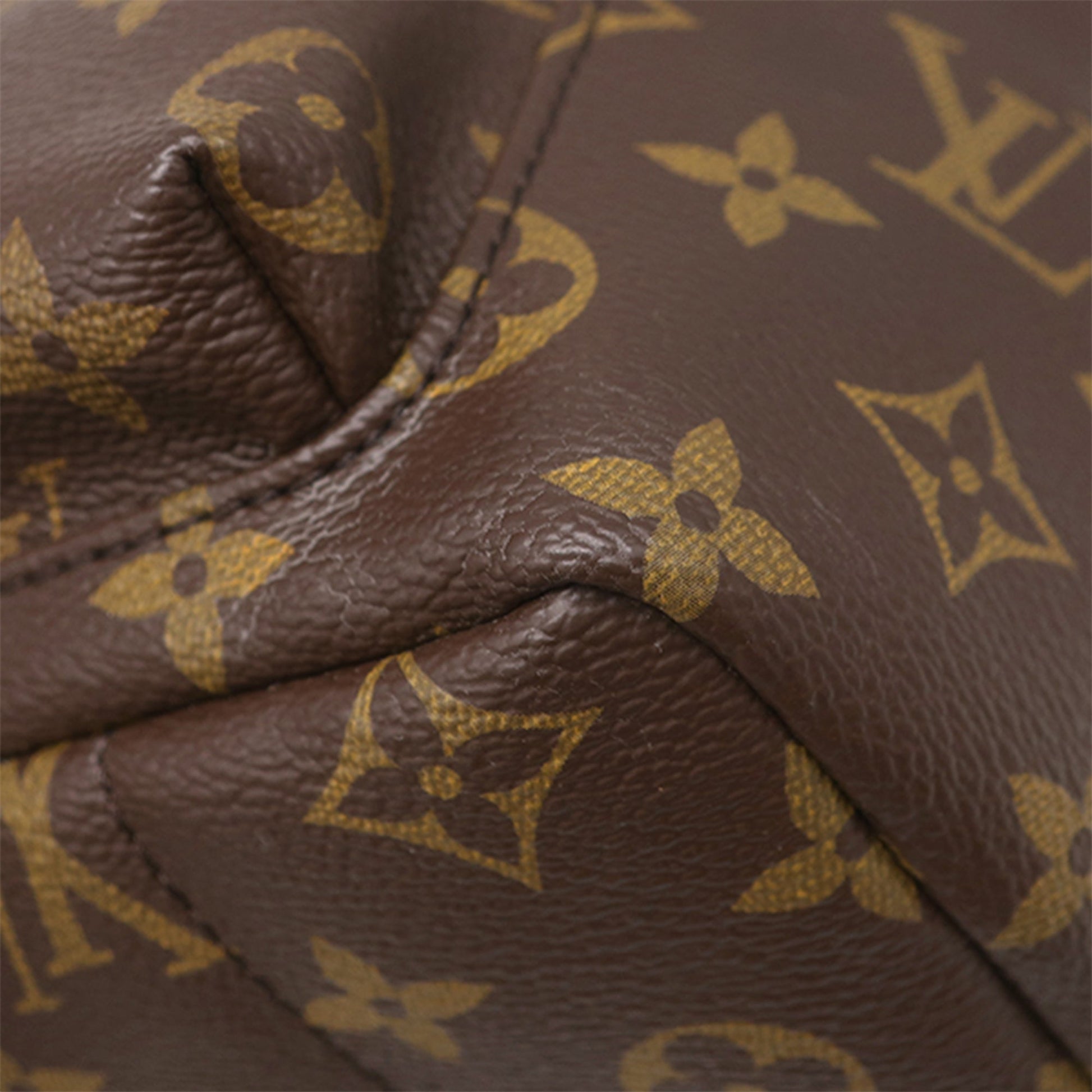 Louis Vuitton Monogram Palm Springs PM