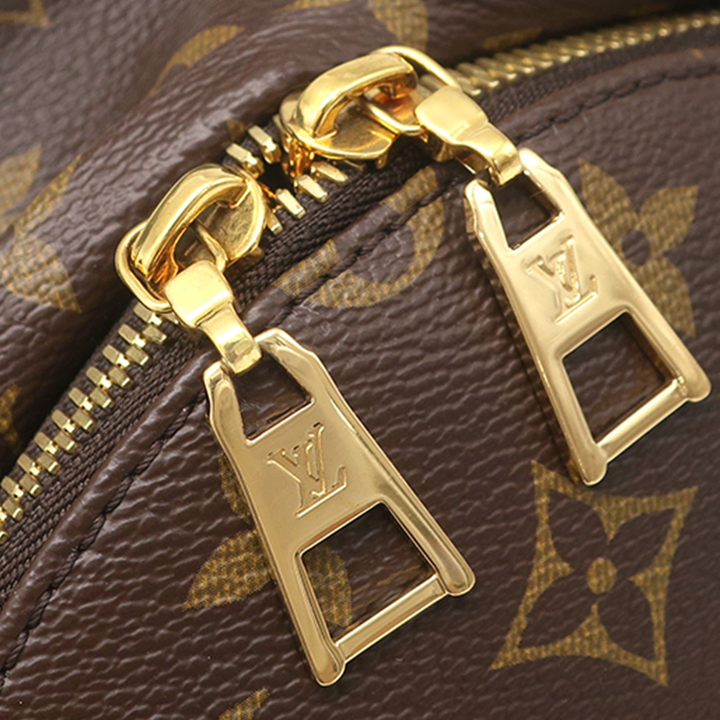 Louis Vuitton Monogram Palm Springs PM