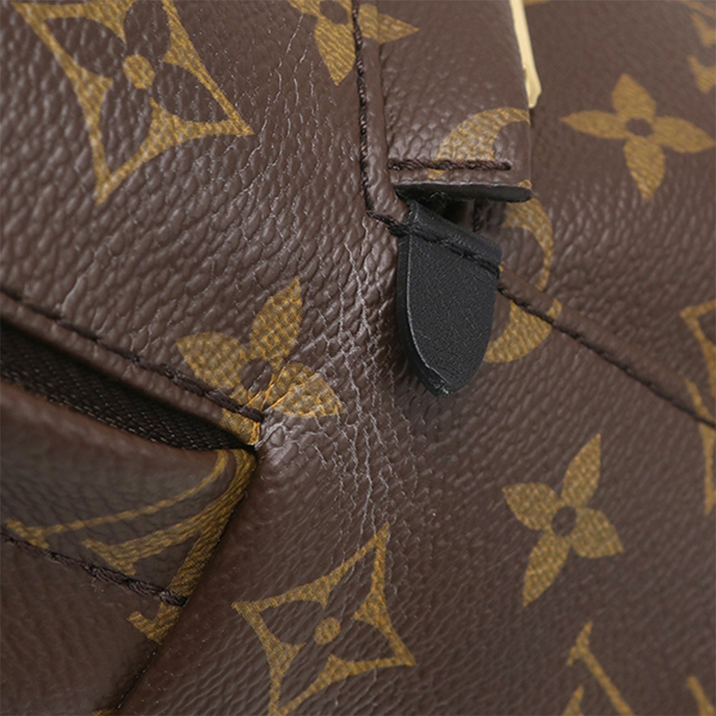 Louis Vuitton Monogram Palm Springs PM