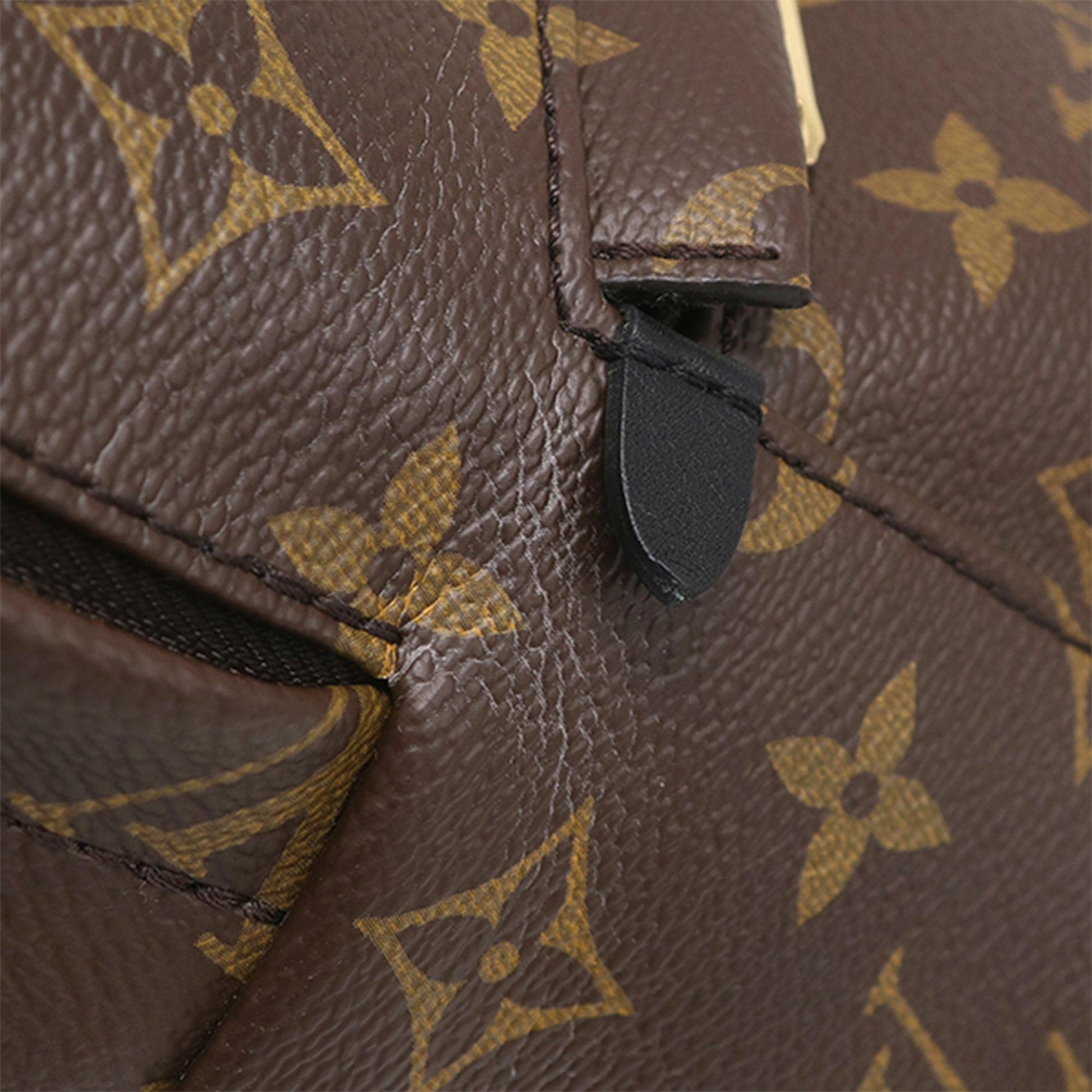 Louis Vuitton Monogram Palm Springs PM